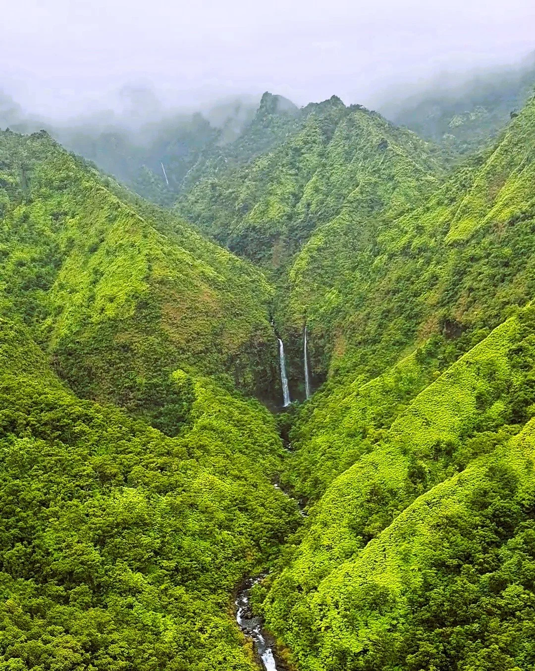 Aerial view of a lush Kauai valley with waterfalls seen from a helicopter