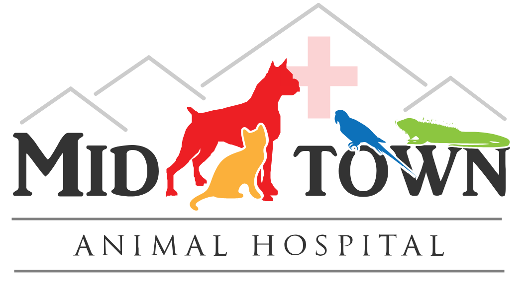 Logo for Midtown Animal Hospital featuring silhouettes of a red dog, orange cat, blue bird, and green lizard, with a pink cross and house outlines in the background.