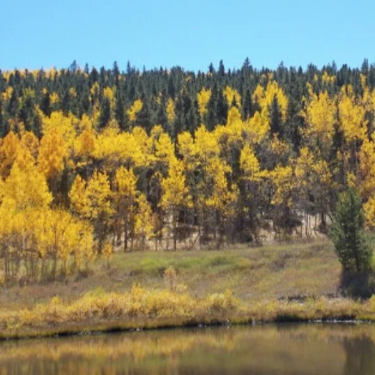 William C. Russell Park
