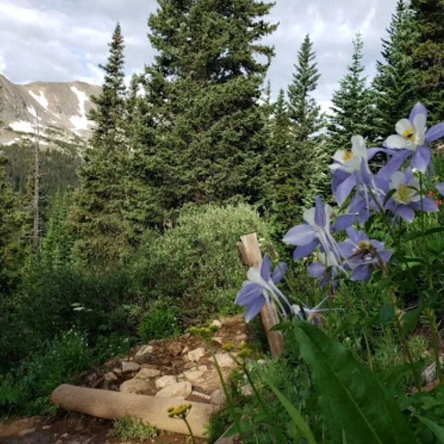 Arapaho &amp; Roosevelt National Forests