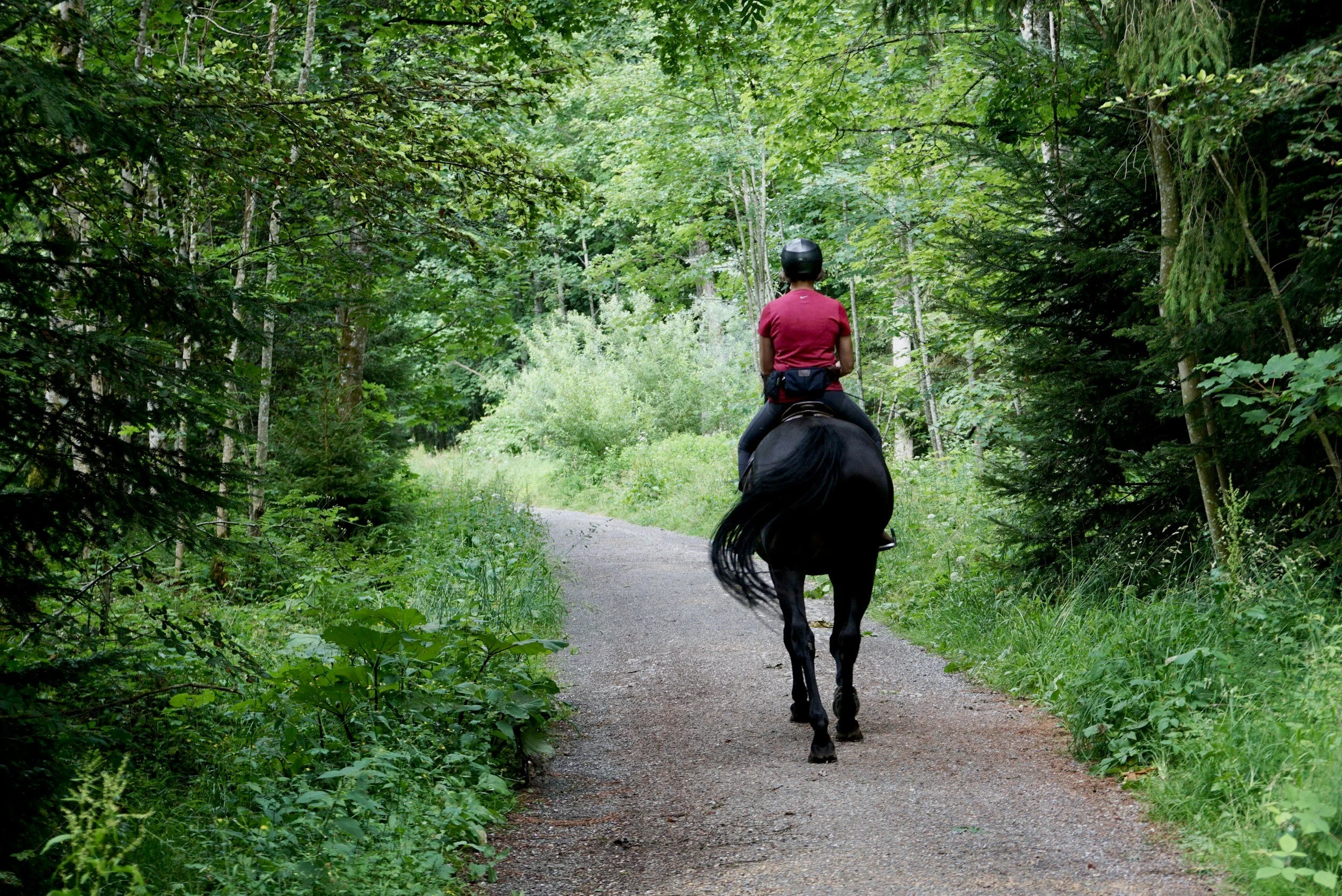 A &amp; A Historical Horse Riding