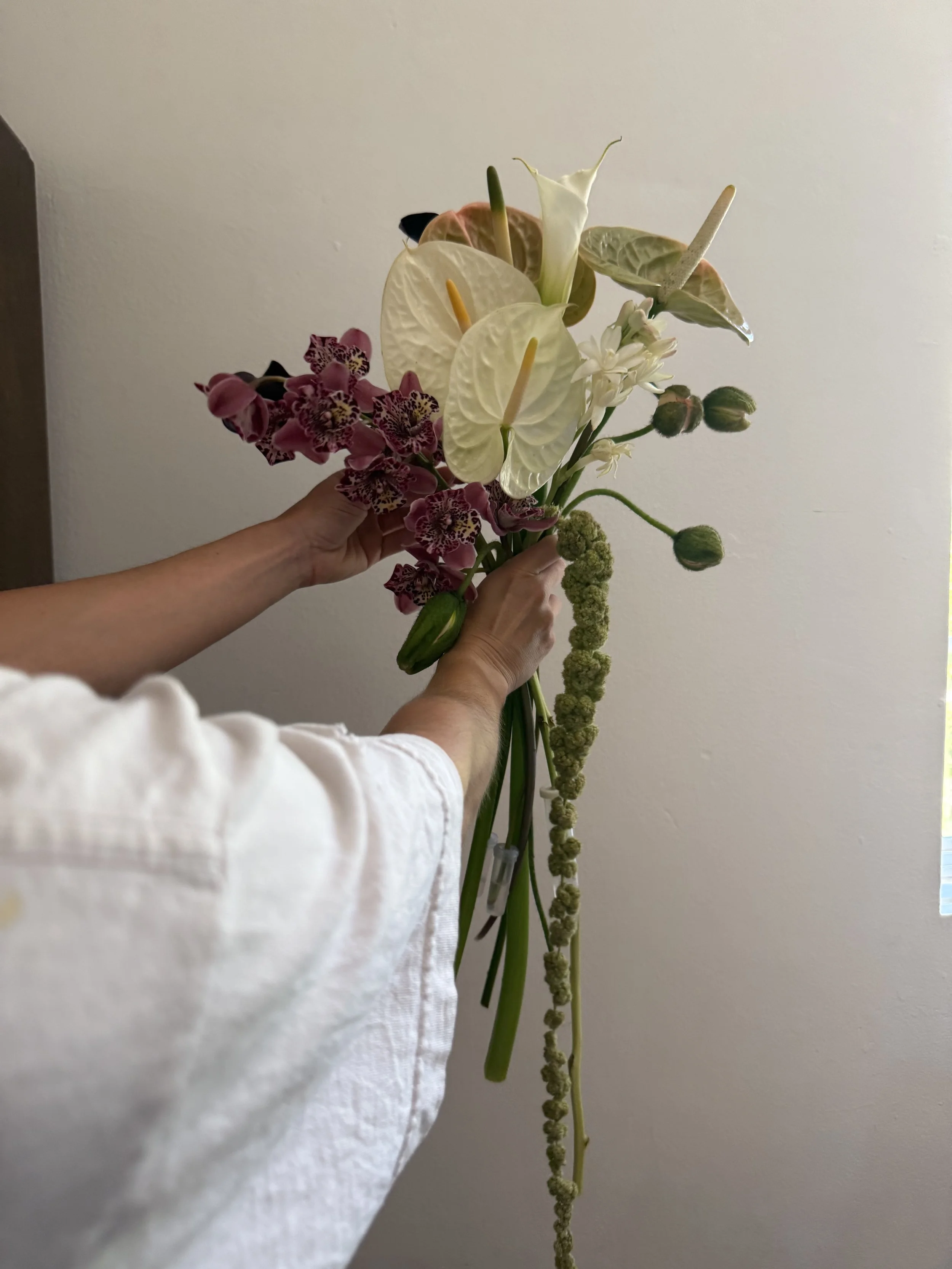 IMG_2121.jpeg