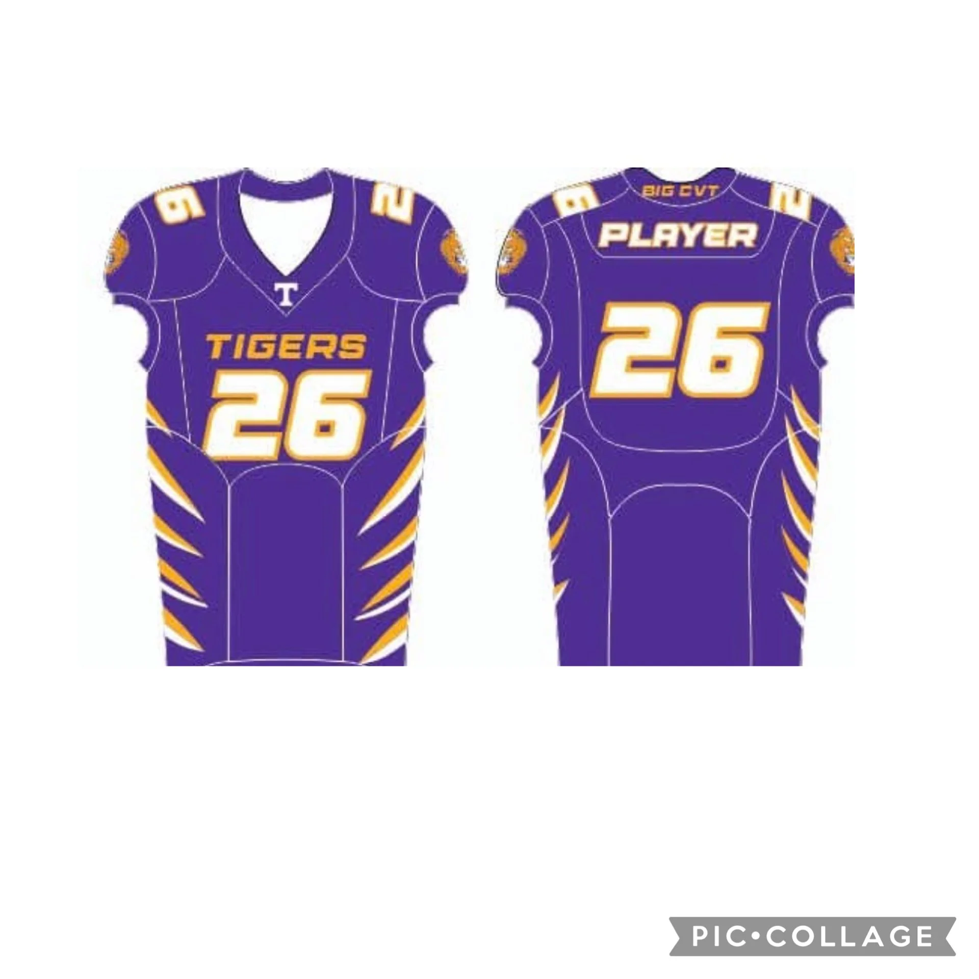 PURPLE Fan/Family Team Jersey