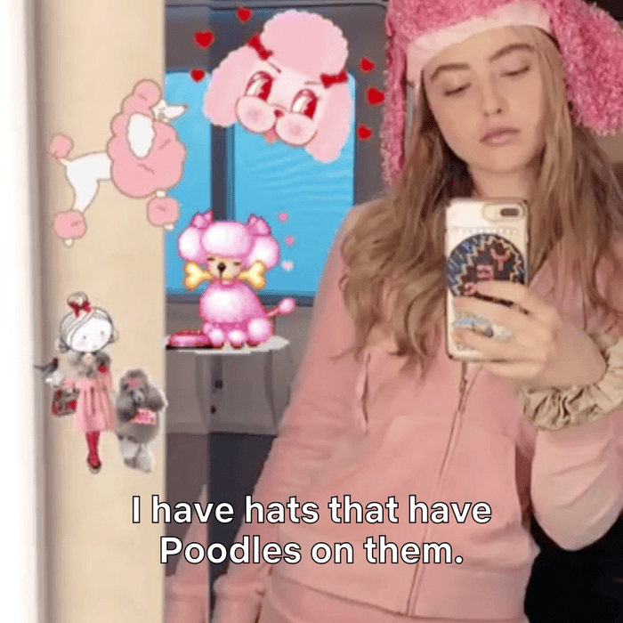 WhoIStan_Kathryn_Poodles_V2b-Subbed.gif
