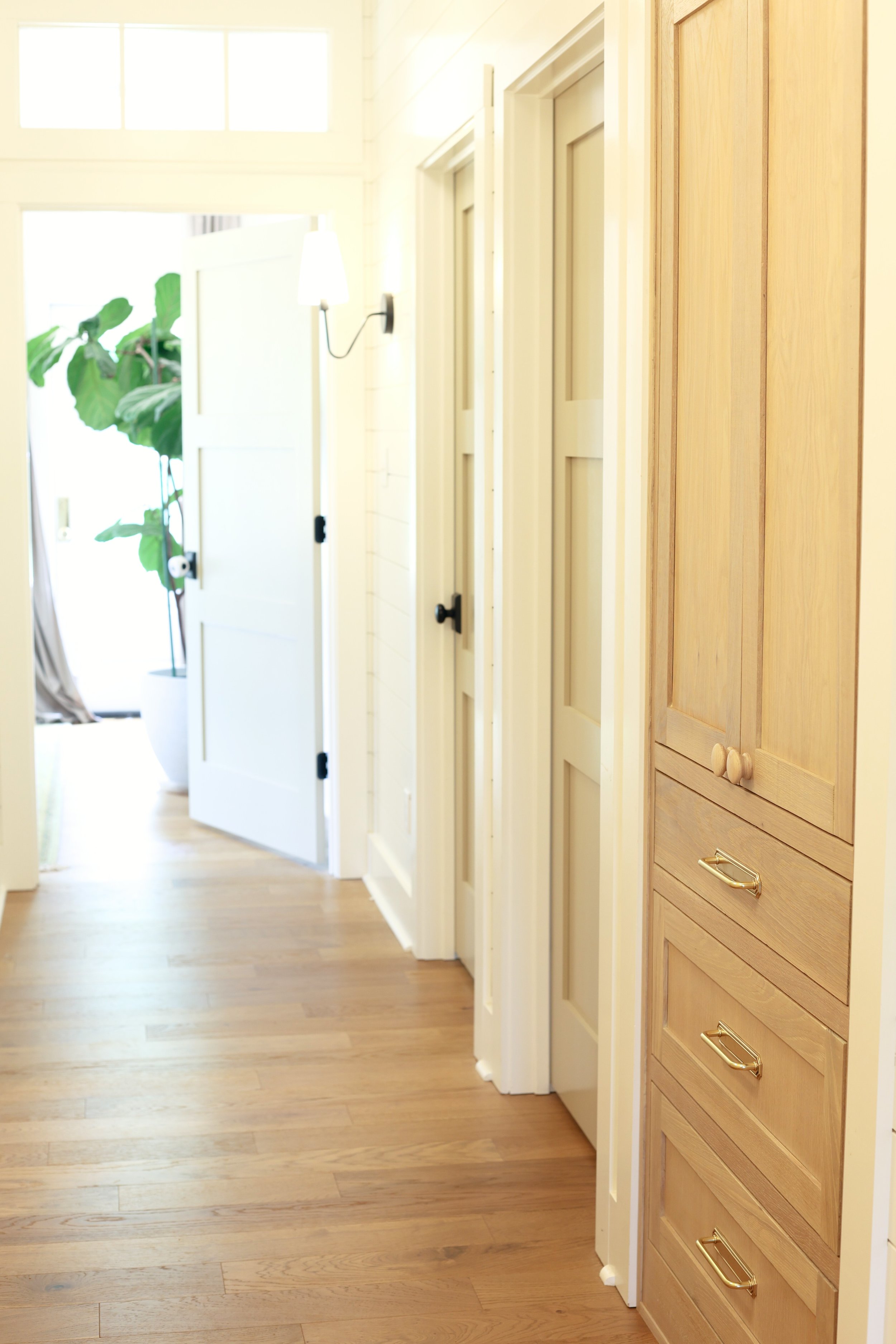 View of a hallway with wooden flooring, white and natural wood cabinetry, and a bright background with a large green plant near an open door.
