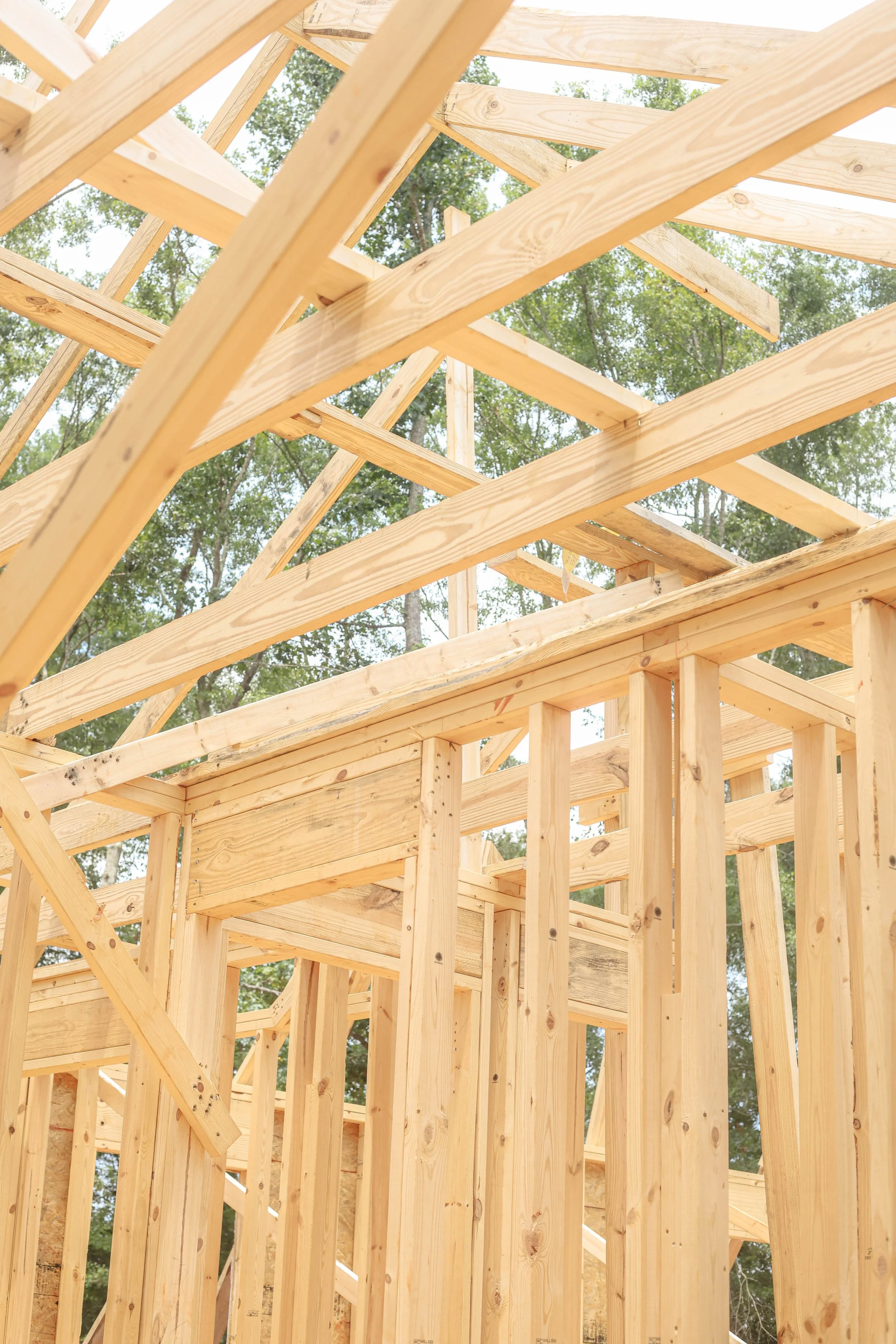 Wooden framing for a building under construction with trees in the background.