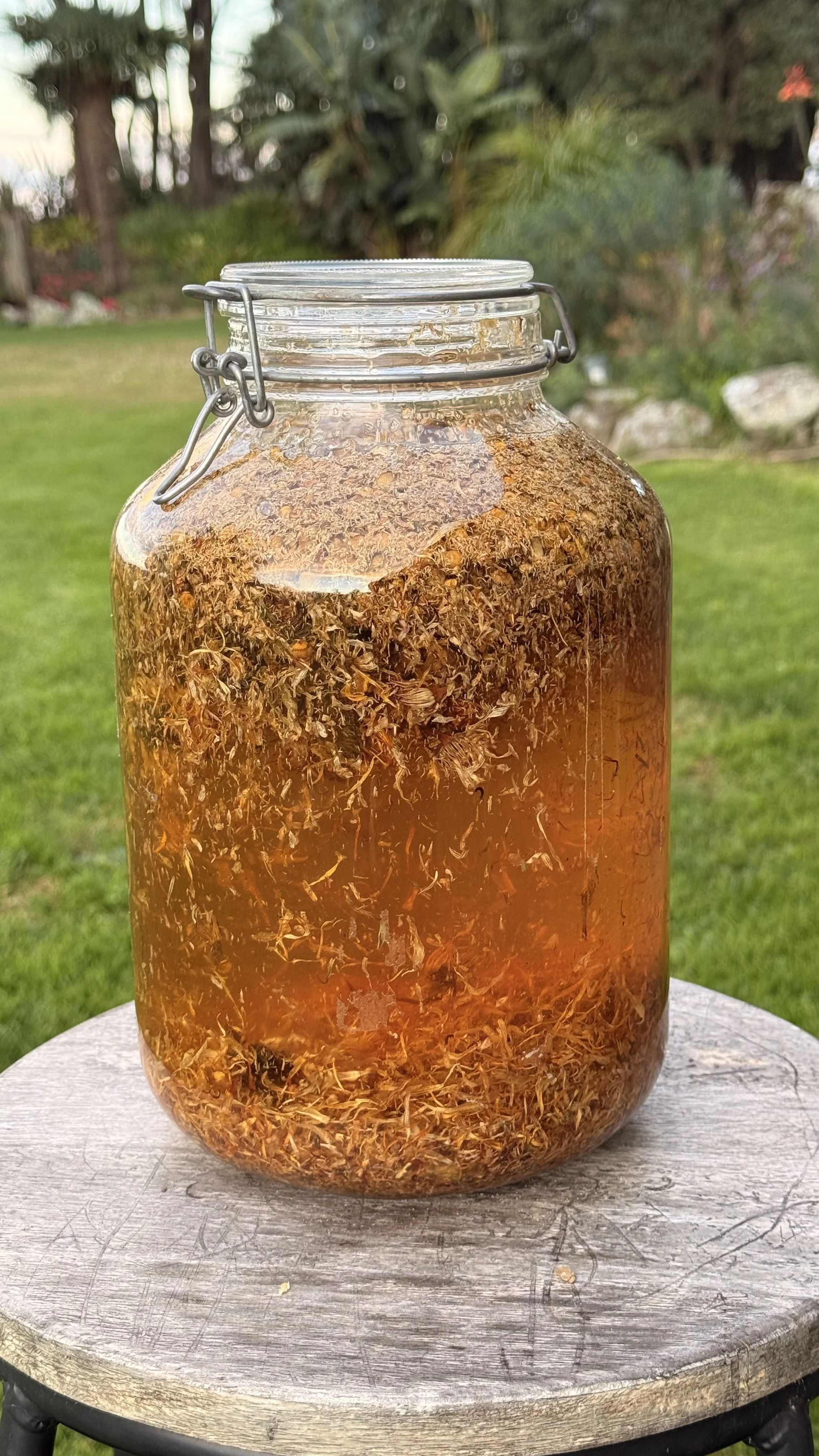 Calendula &amp; Chamomile oil infusion