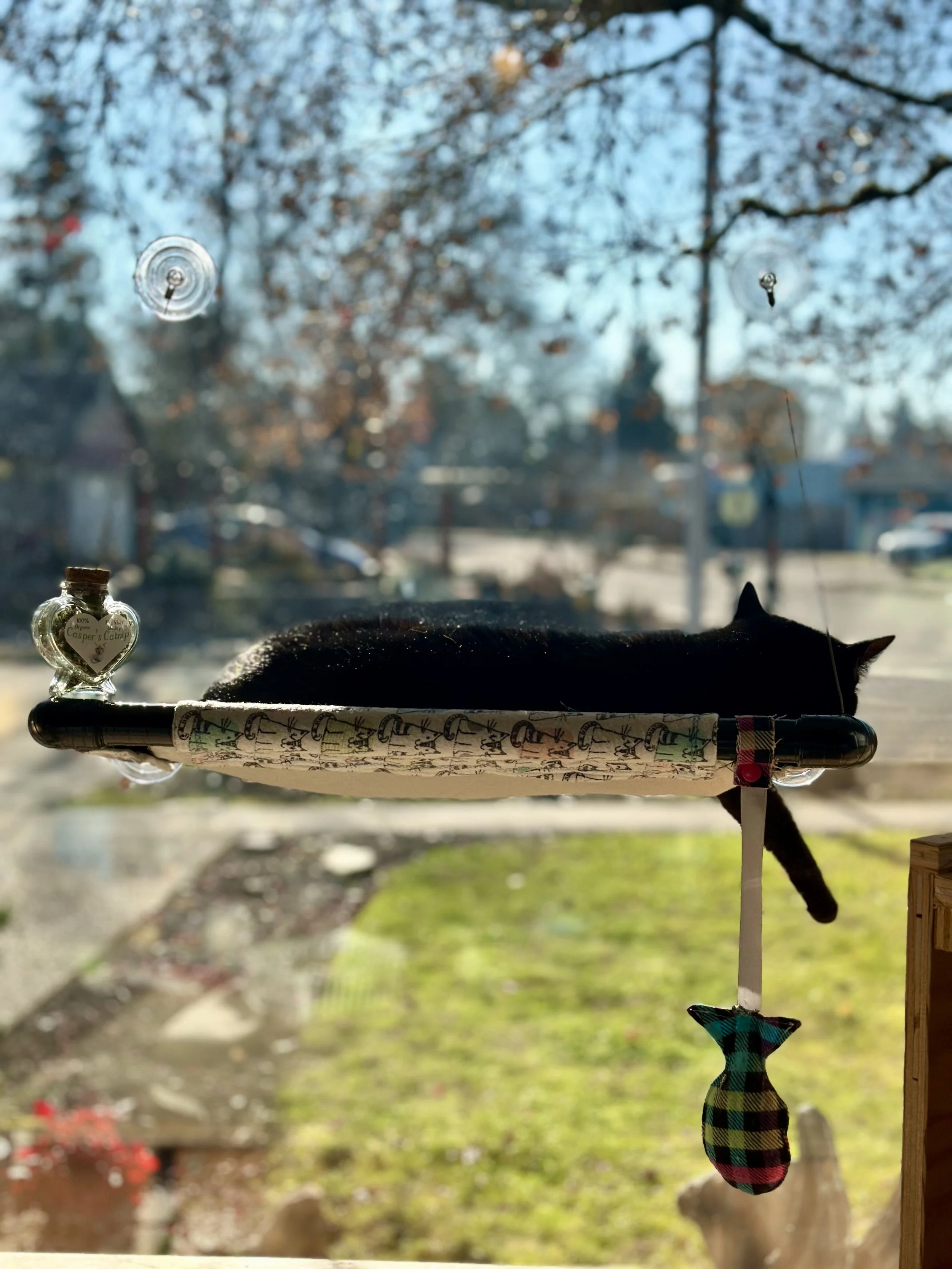 A cat sleeping on a window perch with a Christmas stocking hanging from a stand outside in the background, which shows trees and a partly cloudy sky.