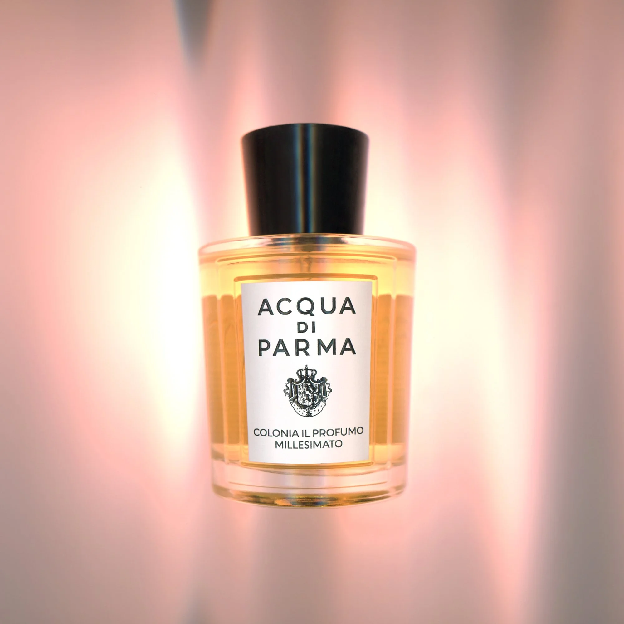 ACQUA_SE_20260526_359 2.jpg