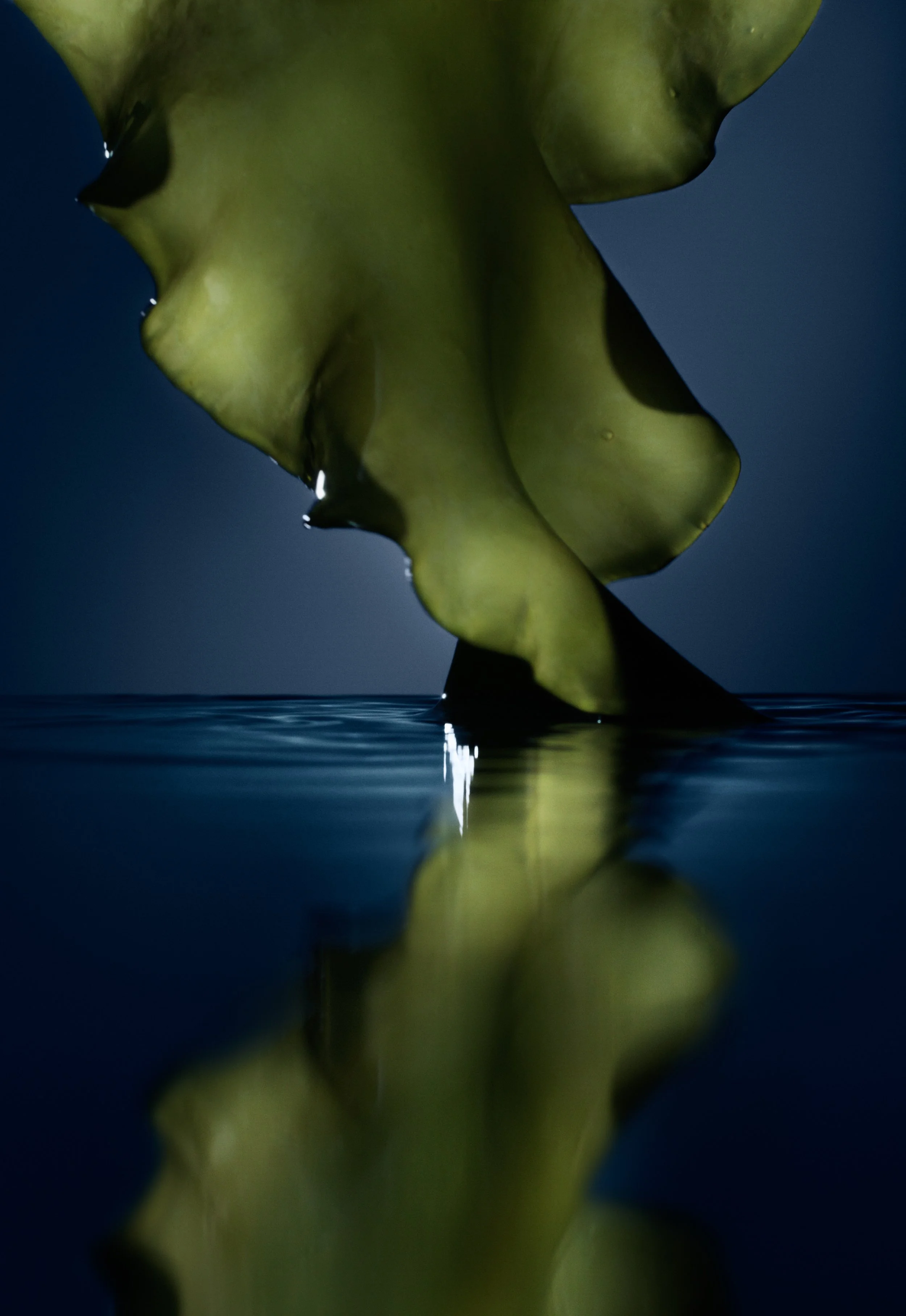 55145_MER_FY24_GDLM_SERUM_ICELANDICALGAE_STILL_FOR_PRINT_1_R3_RGB300.jpg