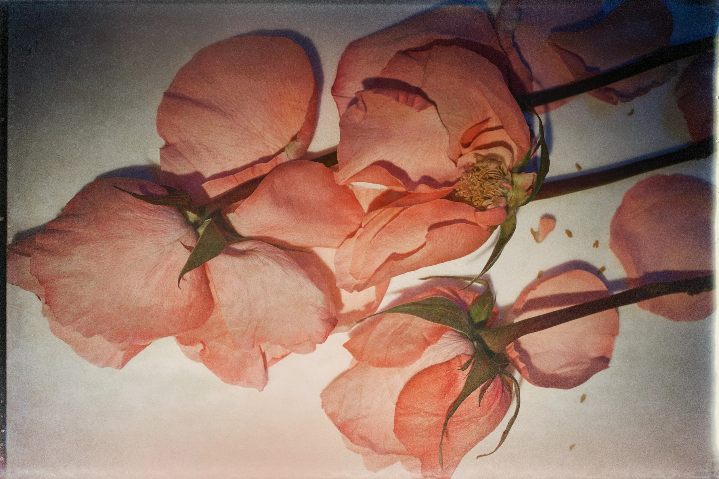 TF2_0805 3.jpg