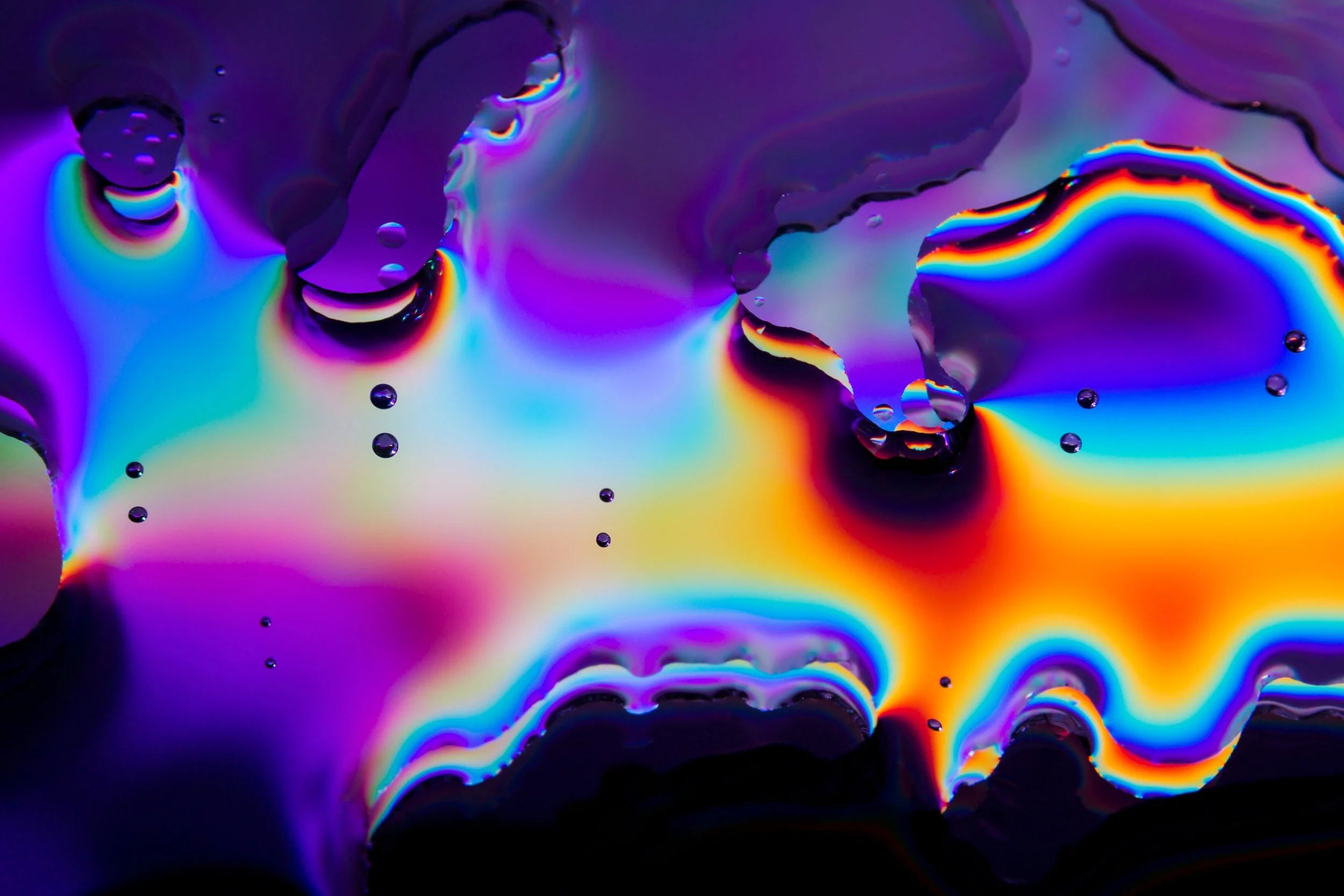 _sl6221_MG_9971.jpg
