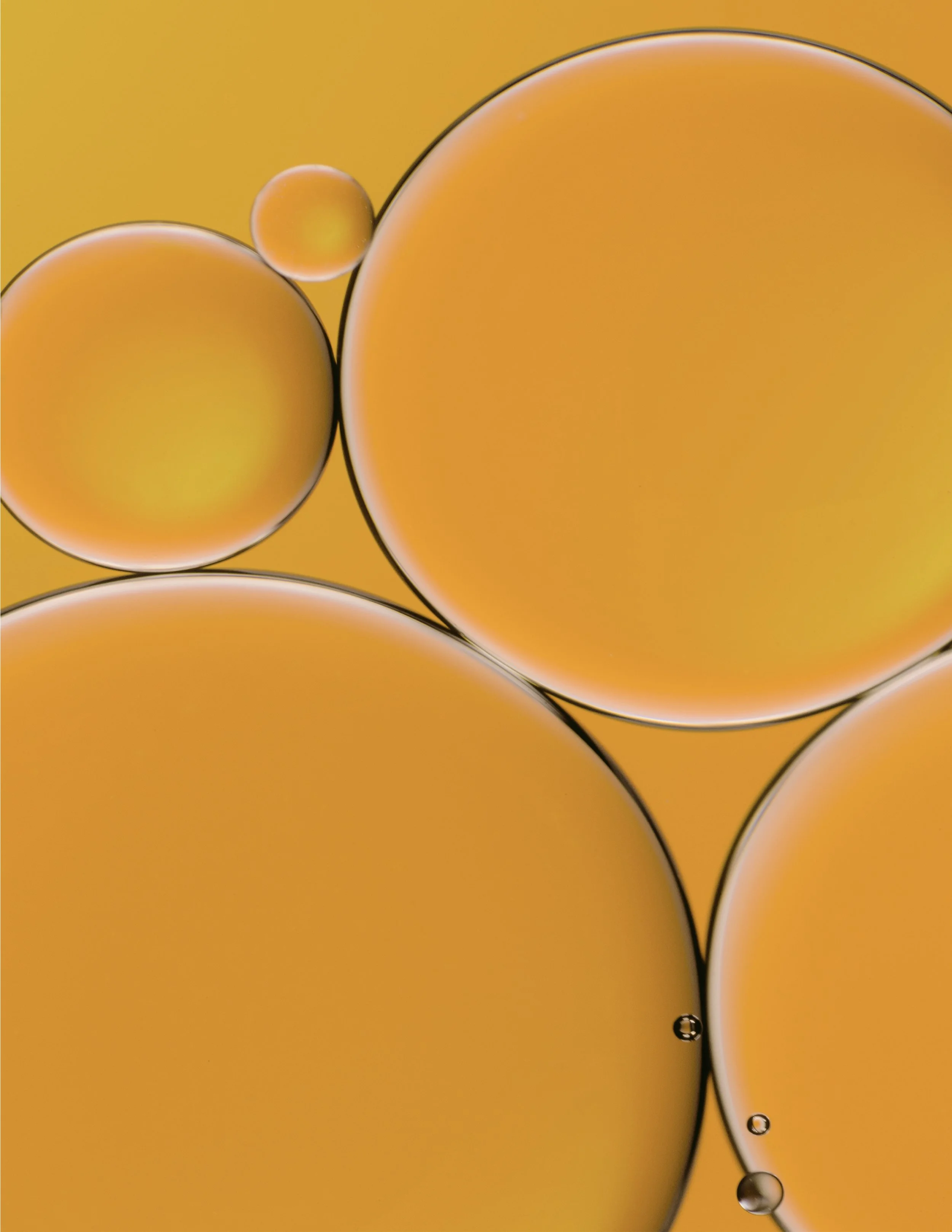 _SKIN_SESSELIND_ALL_190815.097.jpeg