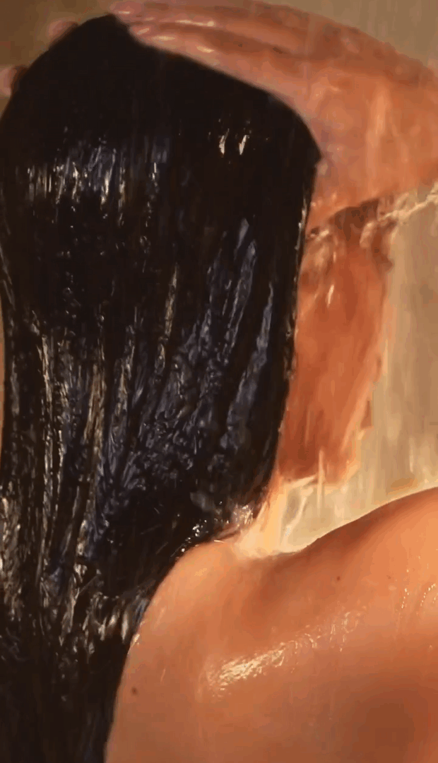 3 Timeline 1 3.gif