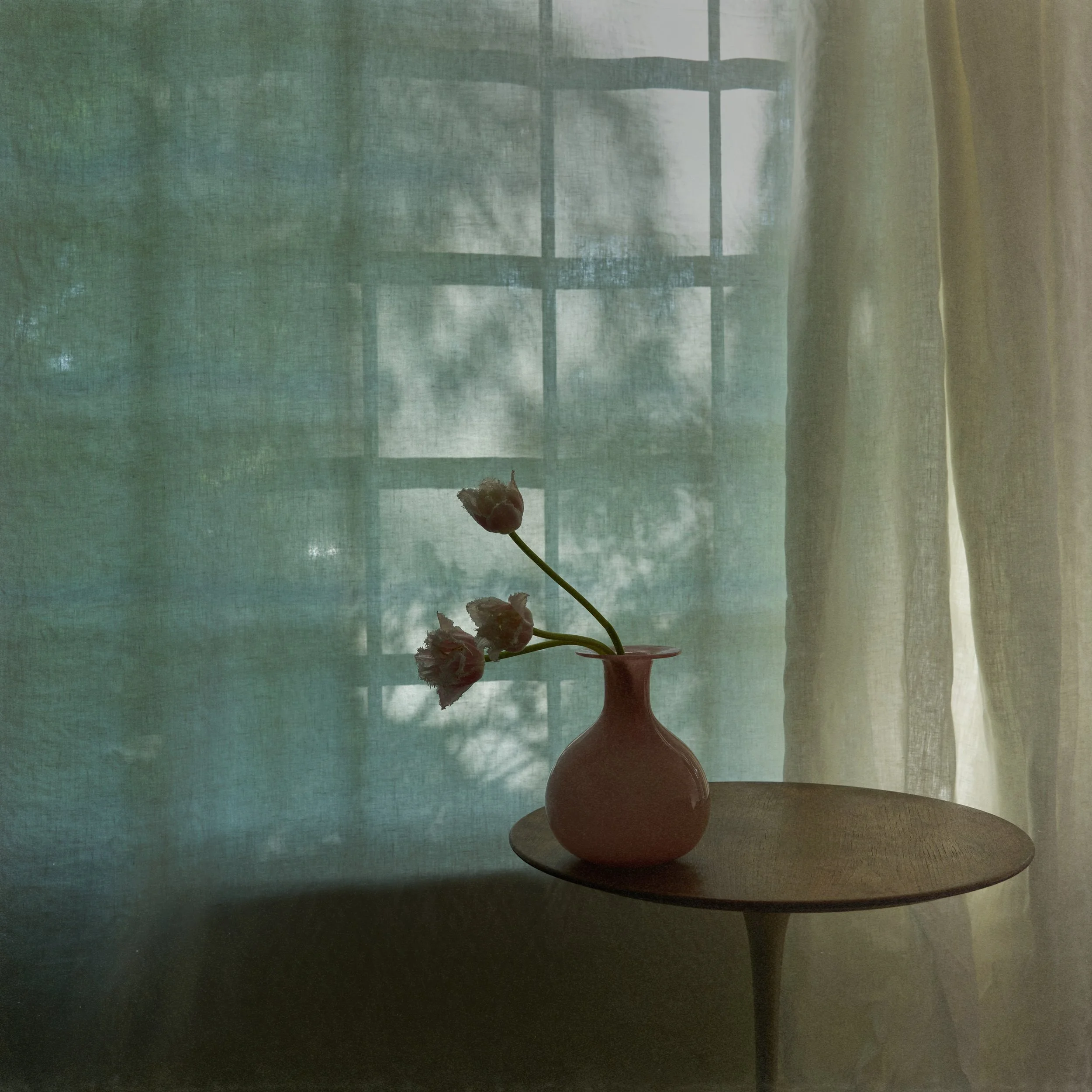 SES01358.jpg