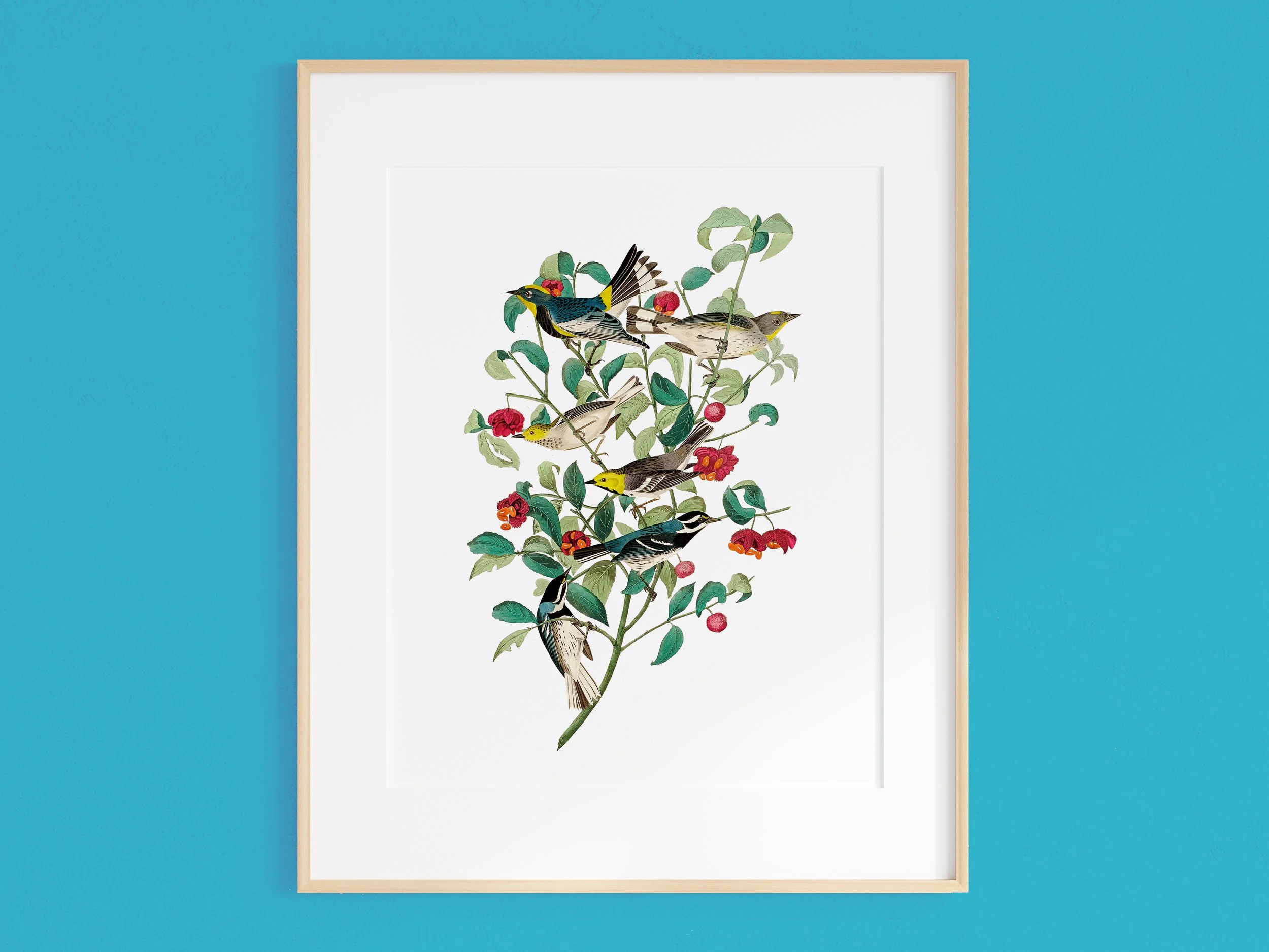 Illustration of several birds perched on a leafy plant with red and orange flowers, set against a white background with a blue wall.