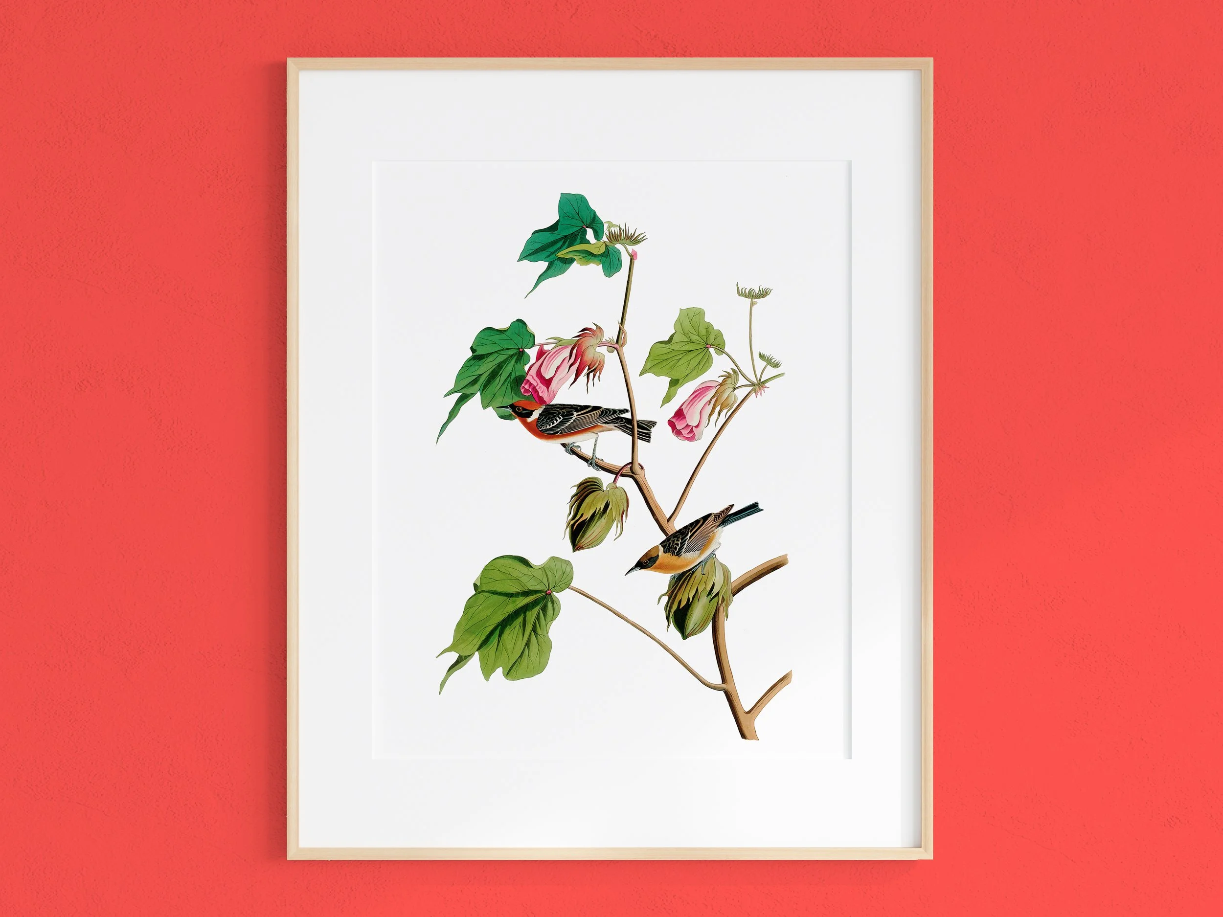 Illustration of a bird perched on a branch with green leaves and pink flowers, against a white background, framed and hung on a red wall.