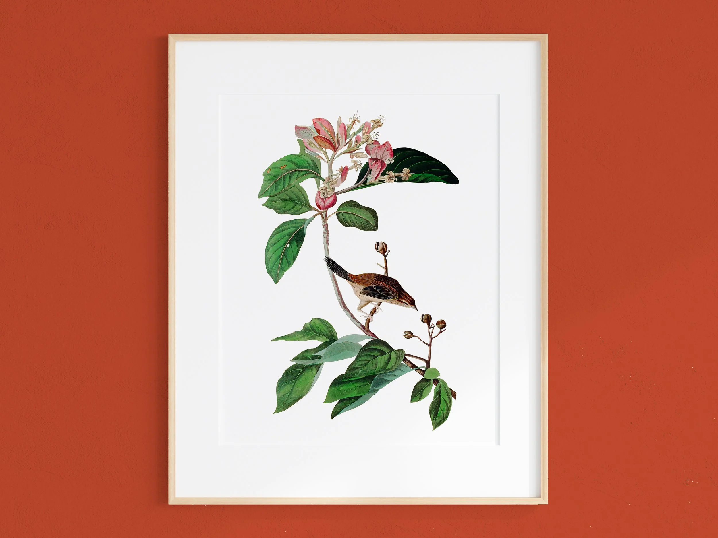 A framed botanical illustration of a branch with green leaves, pink flowers, and a bird, displayed against a reddish-orange wall.