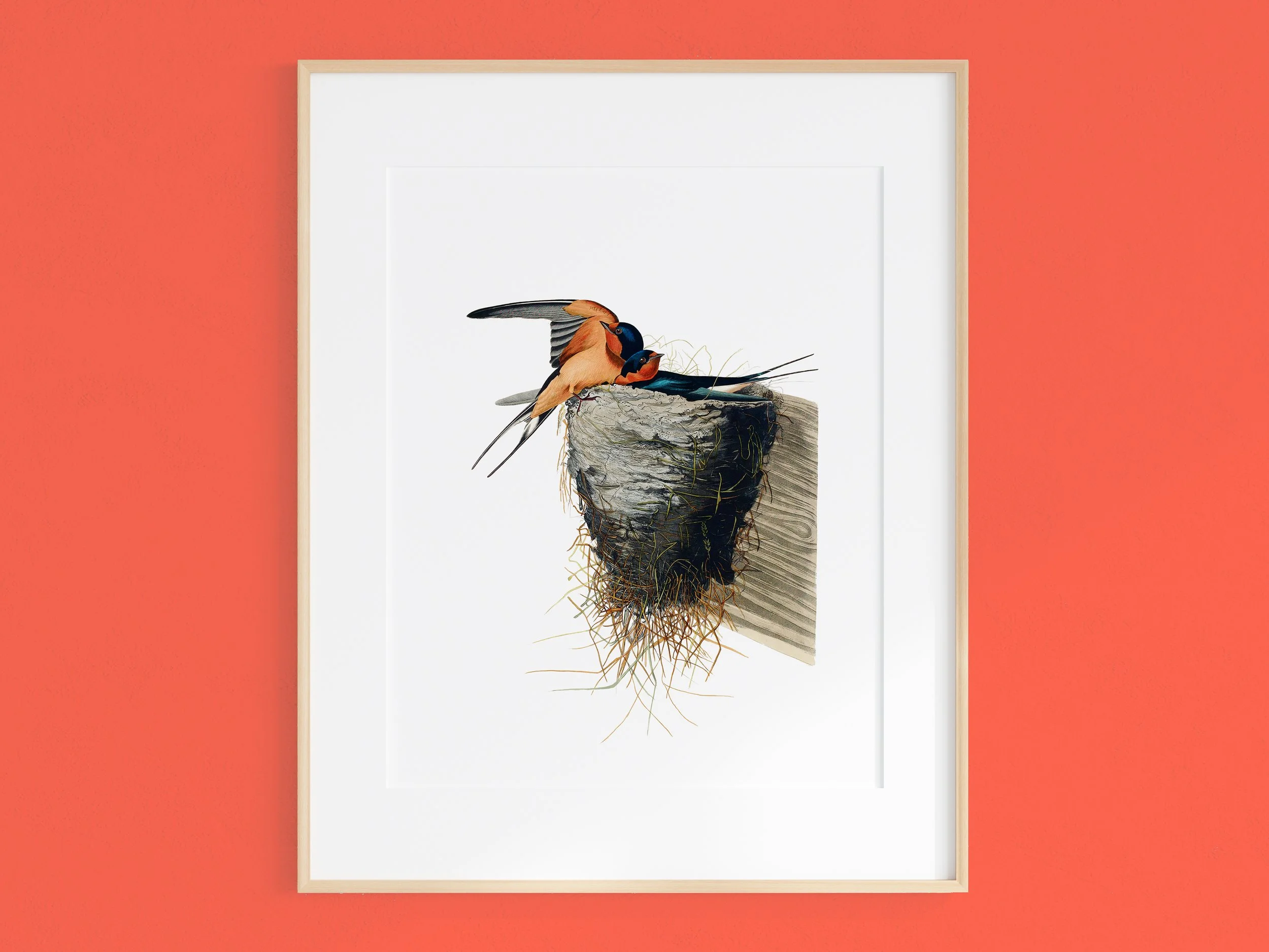 Illustration of two birds perched on a nest inside a ringed tree stump, viewed from above, with an orange background.