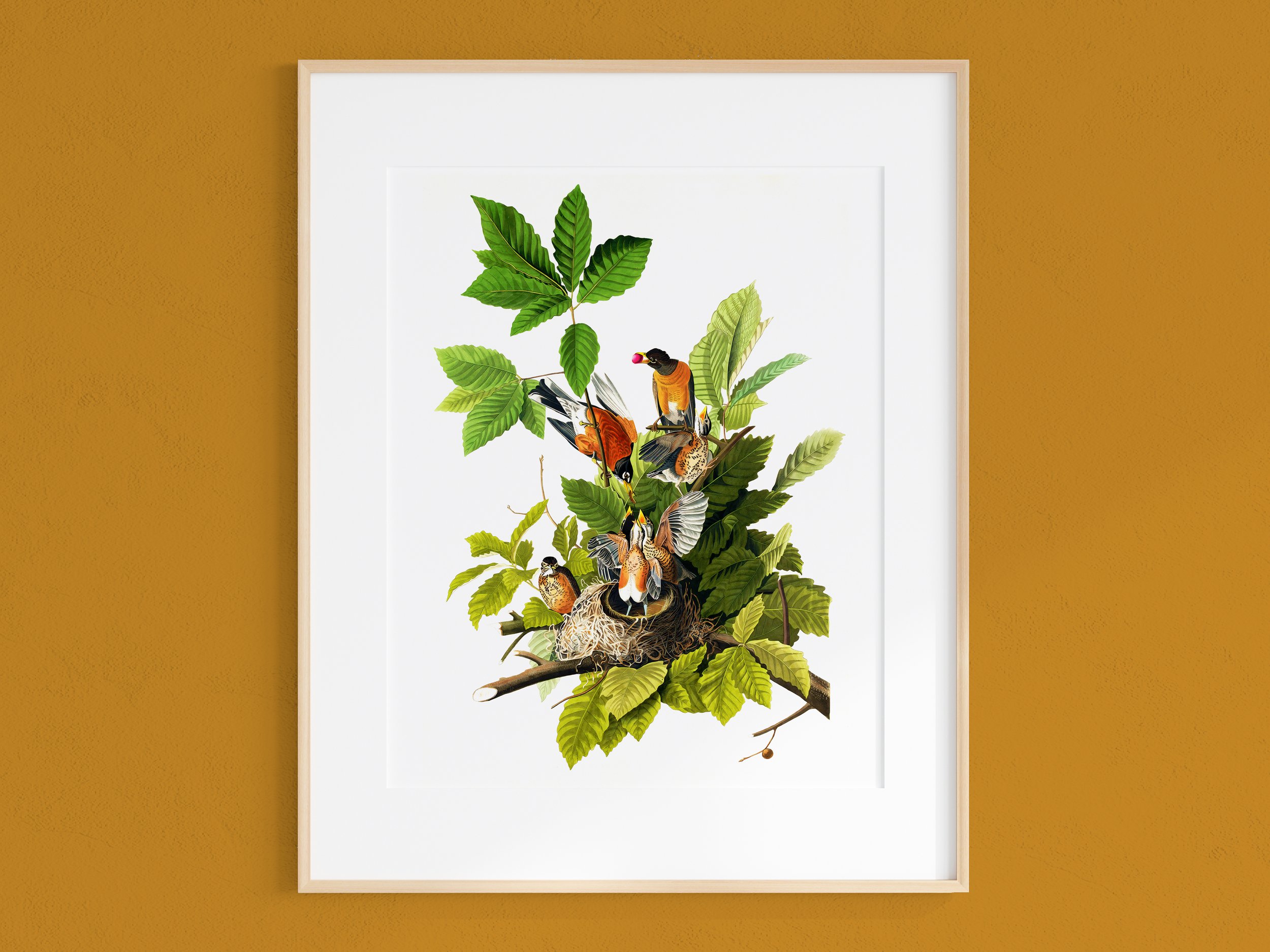 A framed art print of a collage featuring various colorful birds perched among green leaves and branches, set against a white background with a mustard-colored wall.