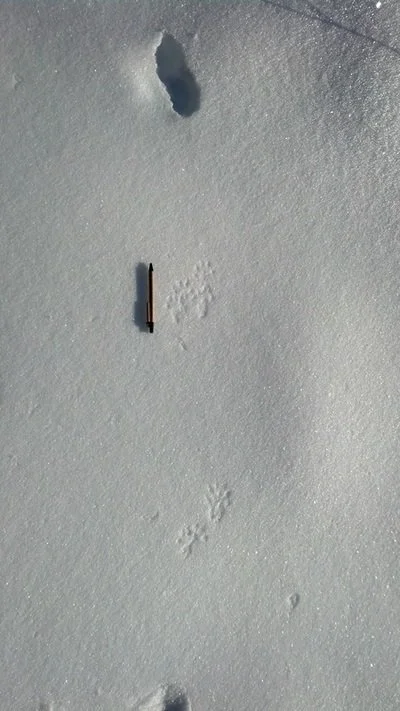 5540354.jpg