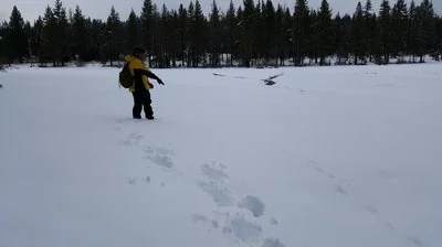 8932525.jpg