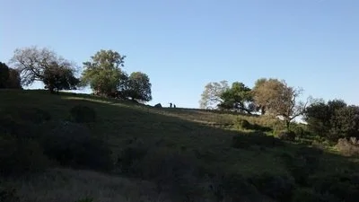 8289967.jpg