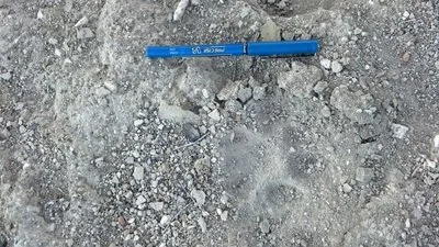 4273301.jpg