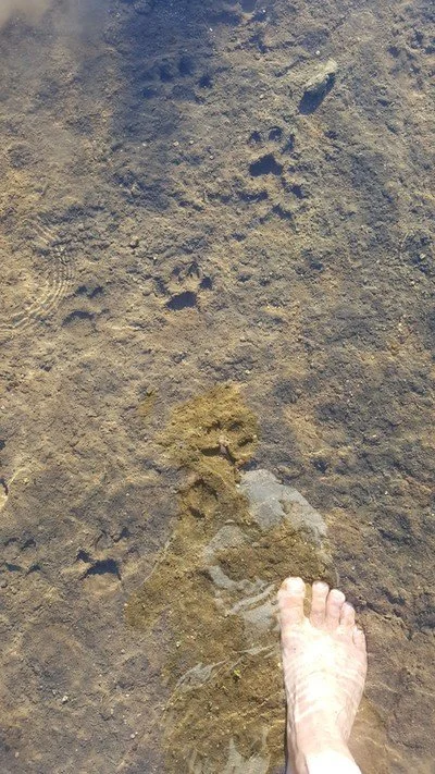 20160716-185835.jpg