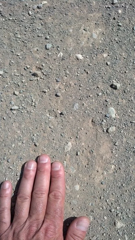 9911207_orig.jpg