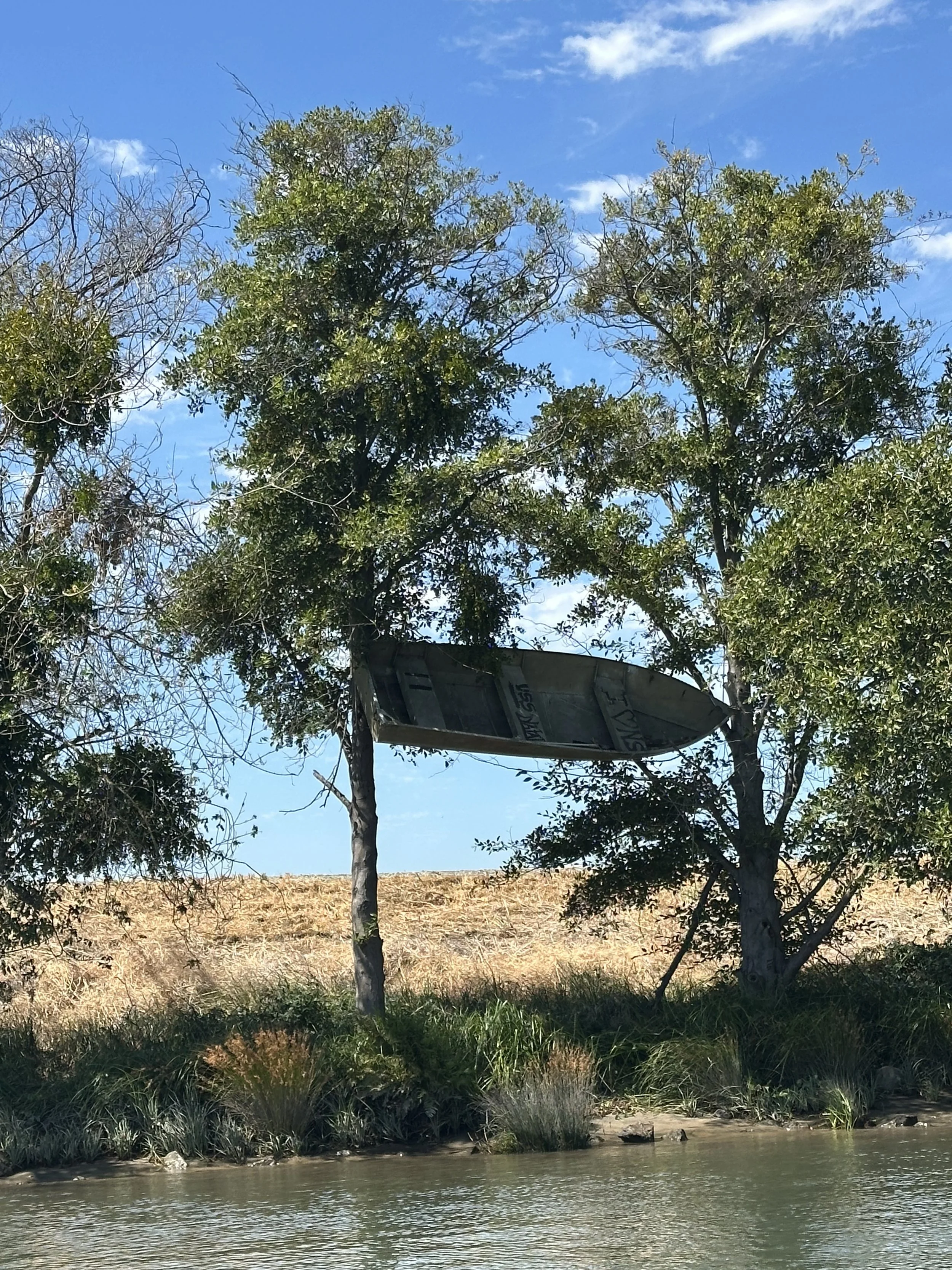 IMG_3387.jpeg