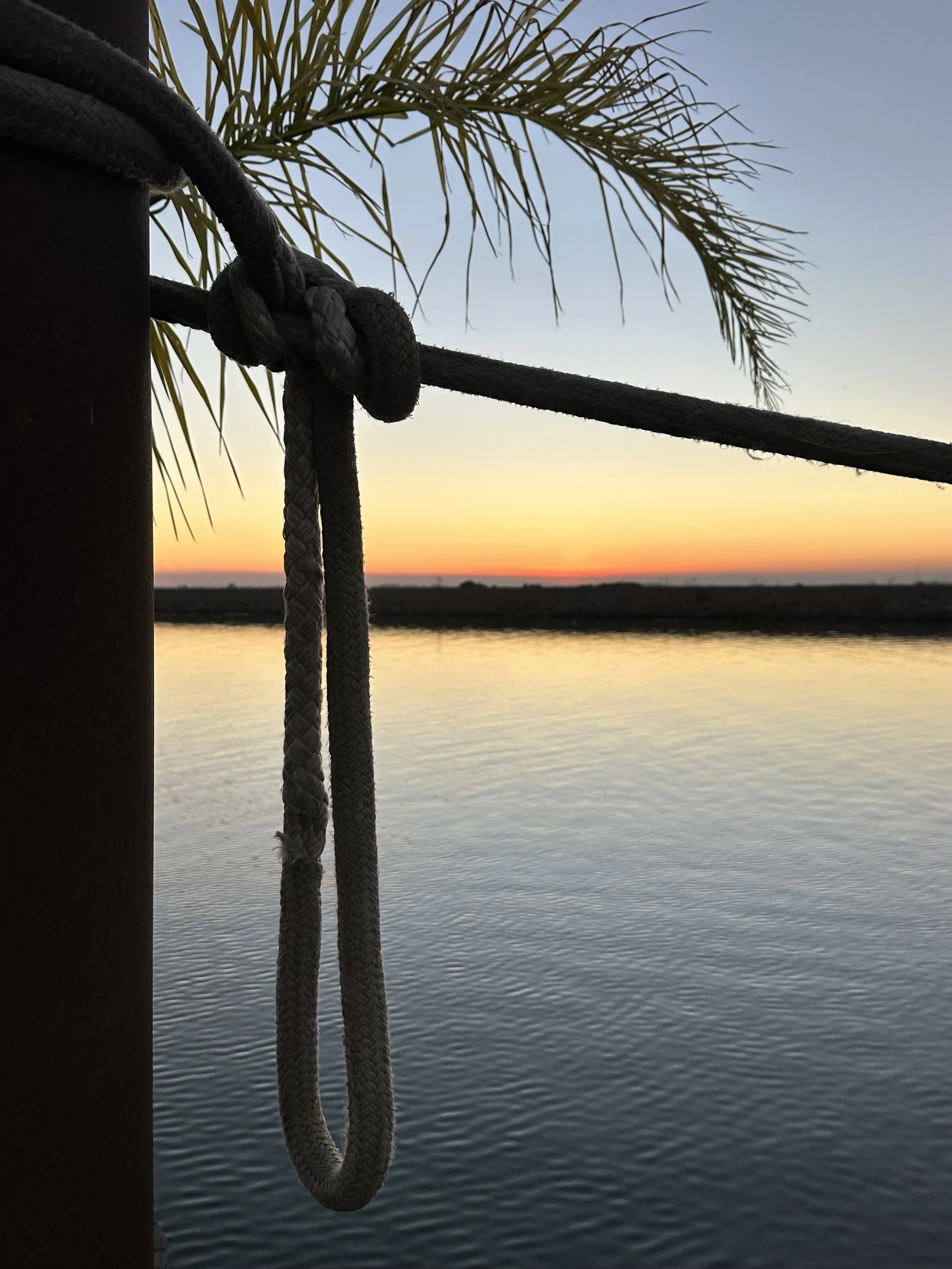IMG_3287.jpeg