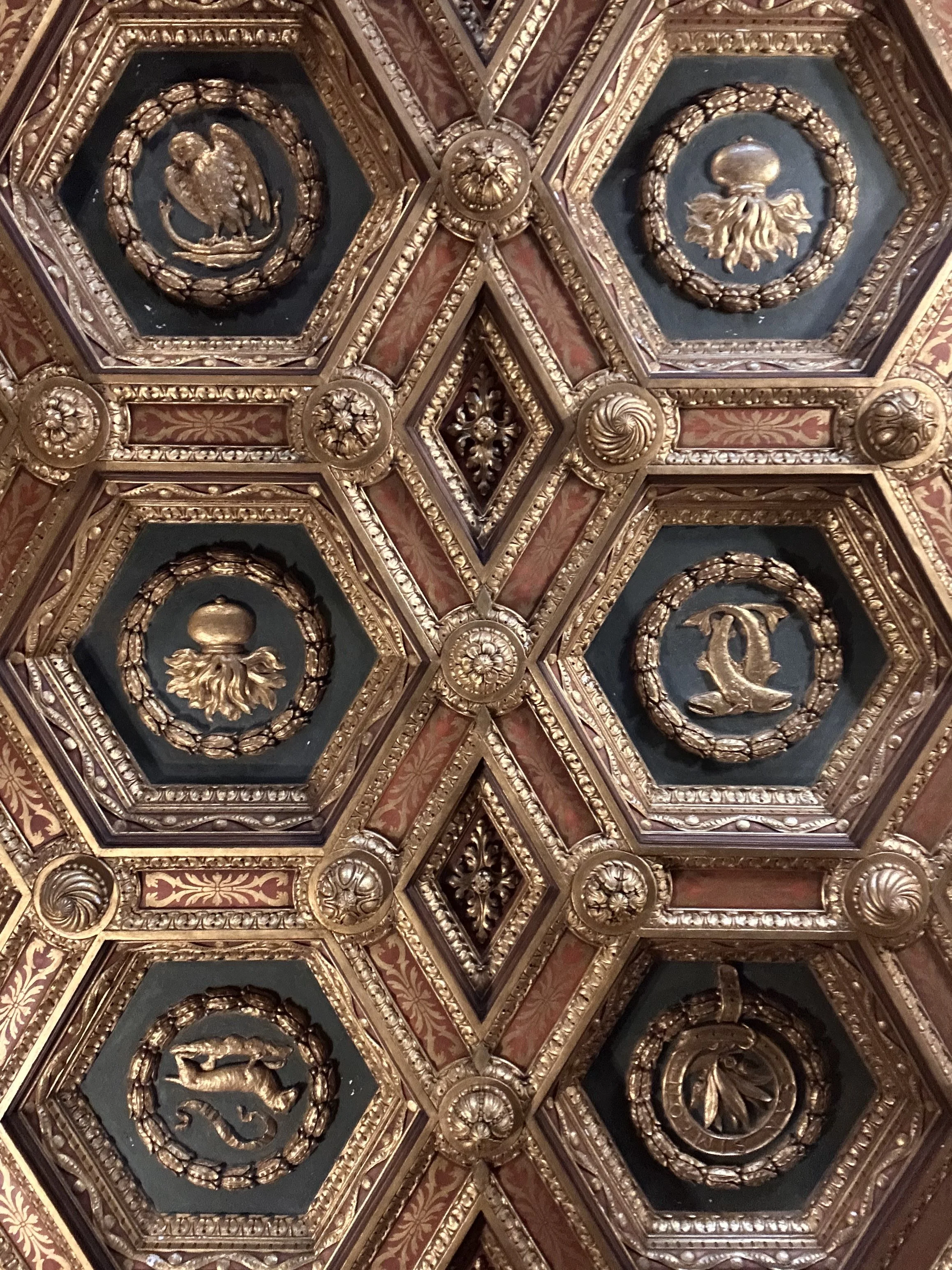 IMG_7108.jpeg