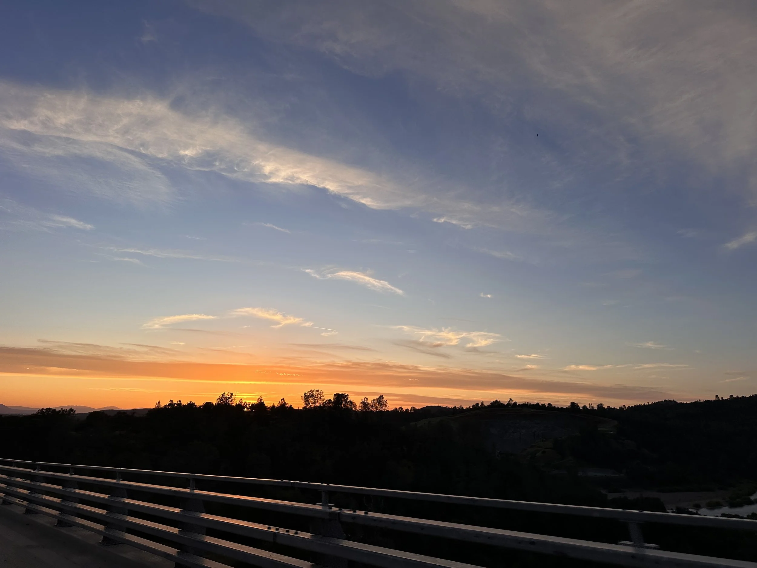 IMG_9388.jpeg