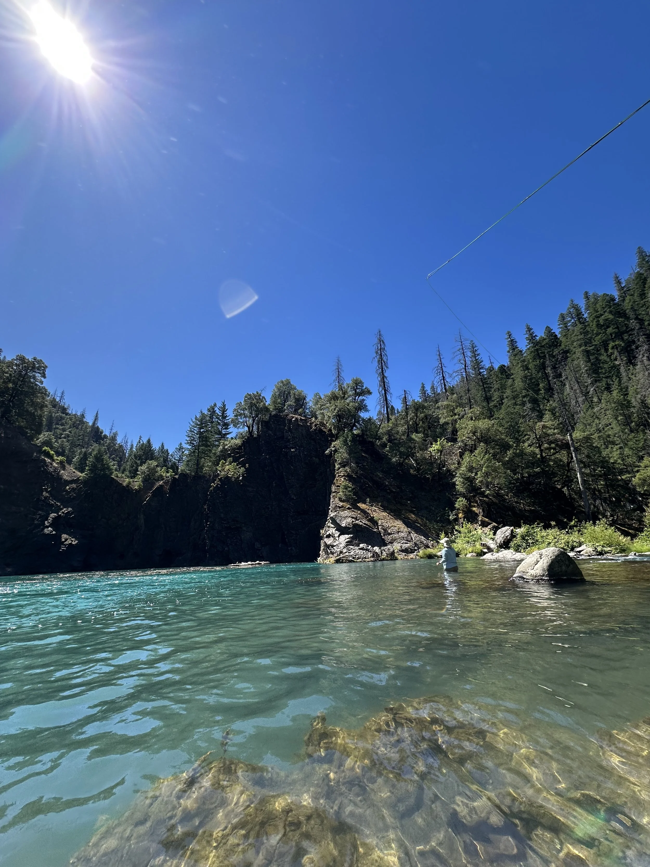 IMG_2091.jpeg