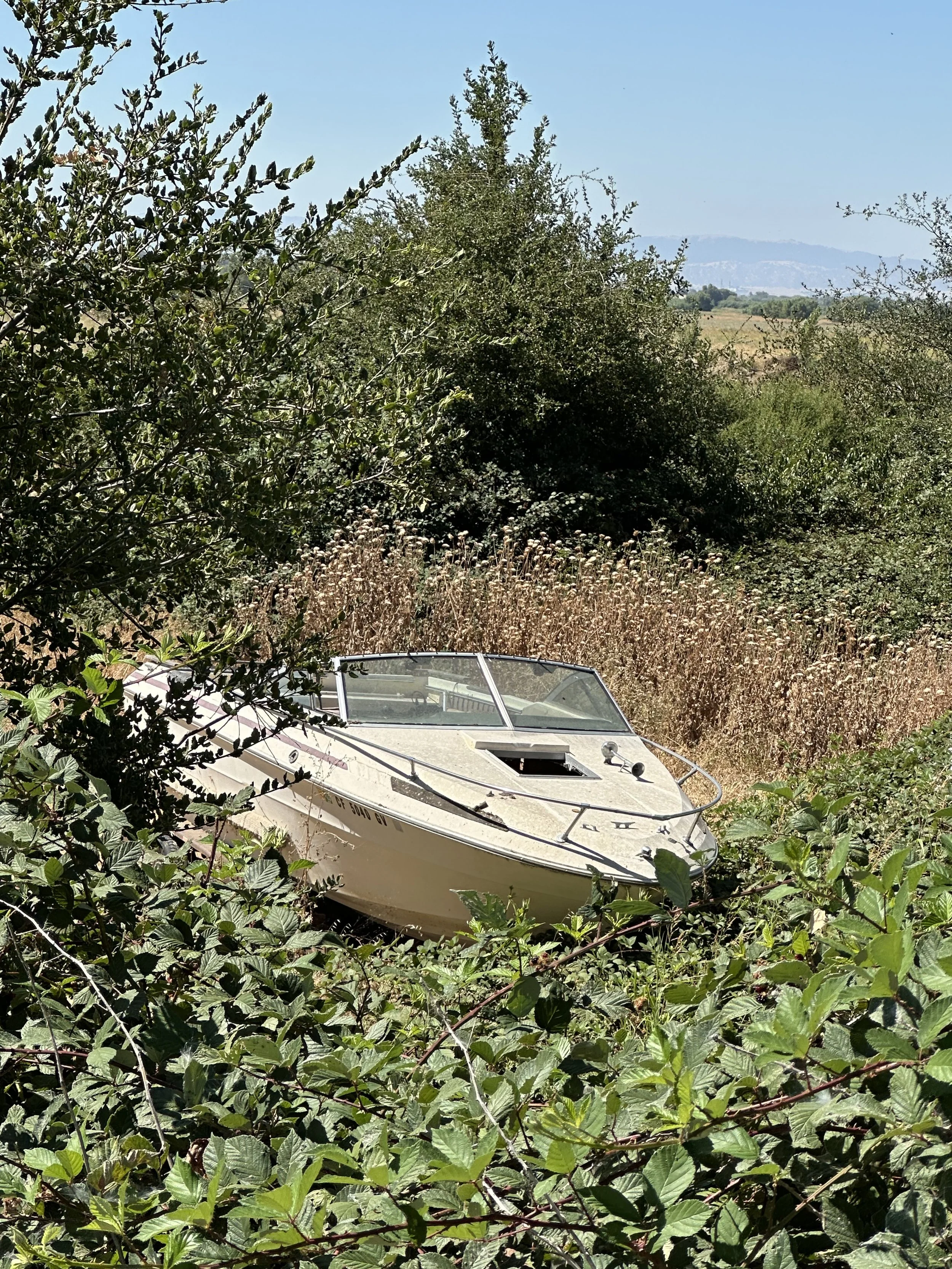 IMG_3752.jpeg