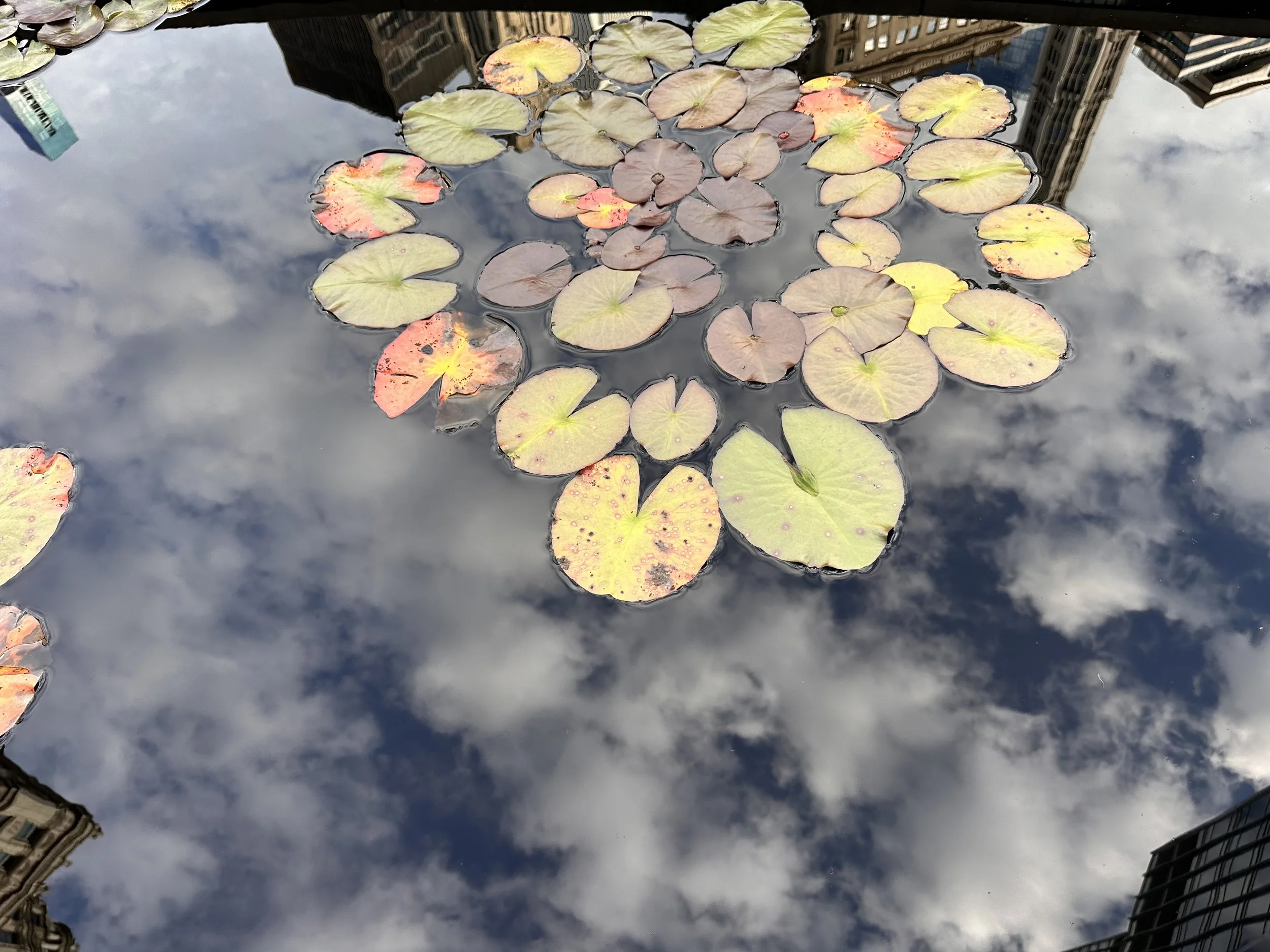 IMG_6958.jpeg