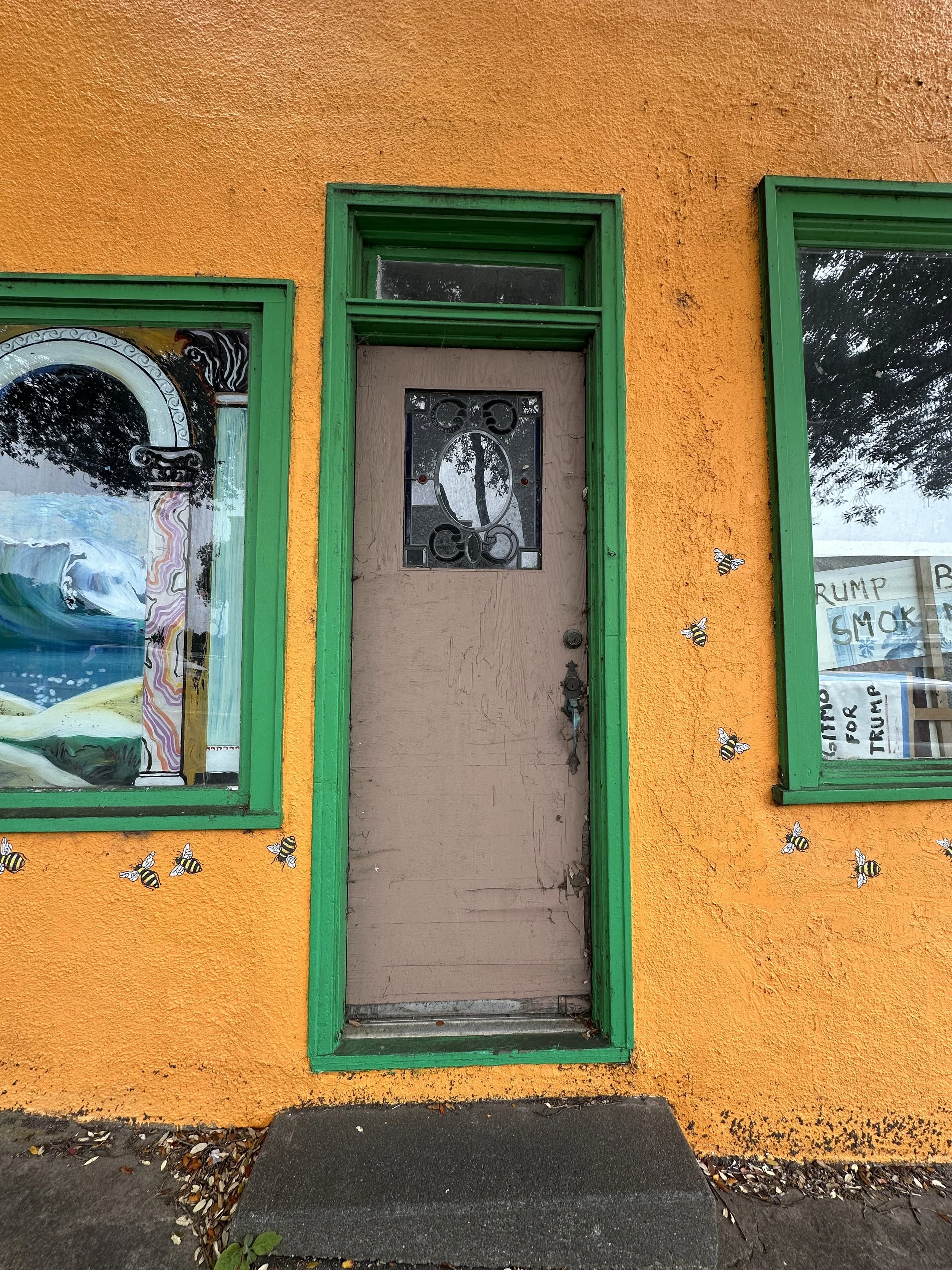 IMG_9123.jpeg