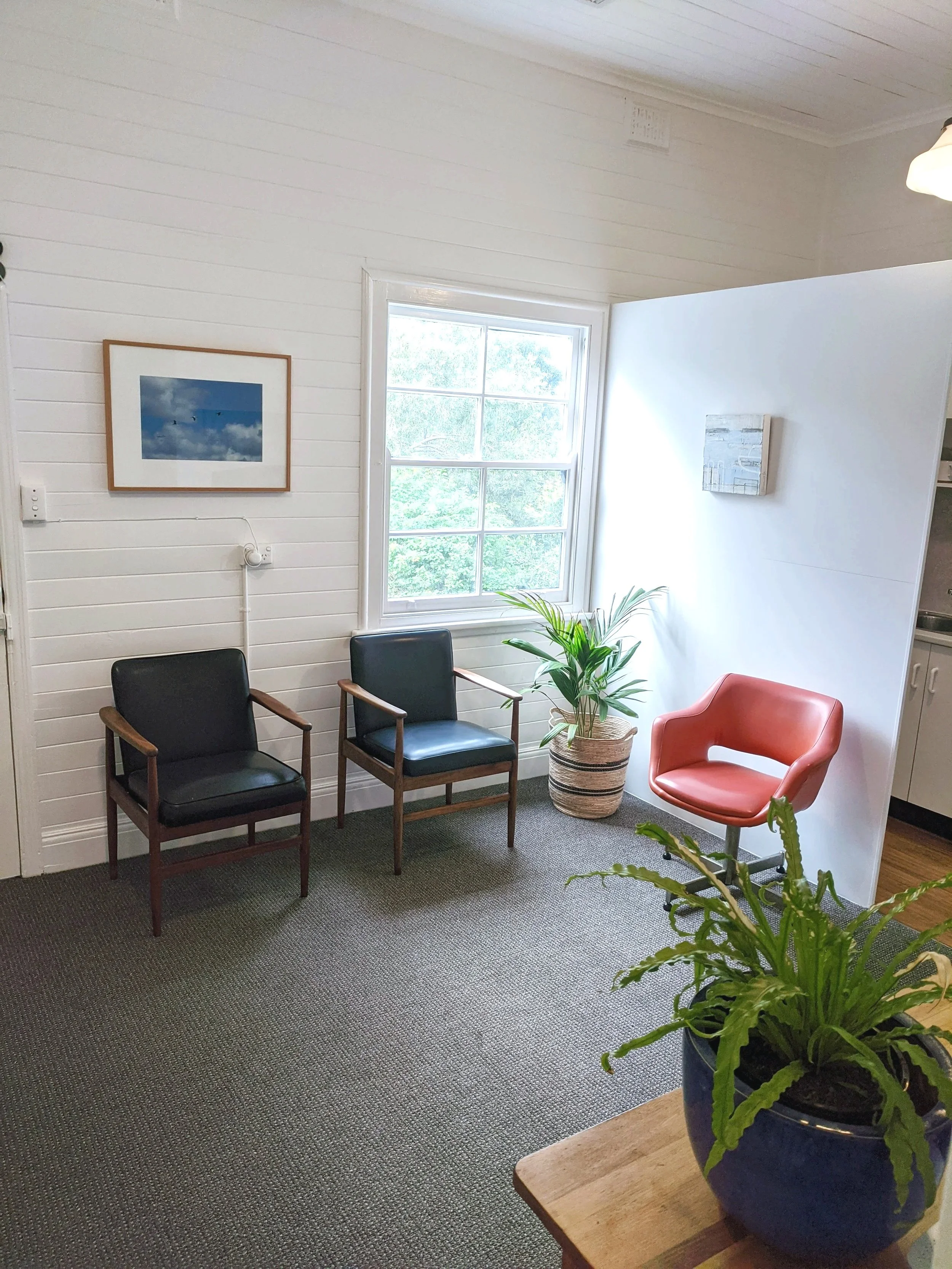 A cozy corner with three chairs (two black wooden chairs with black cushions and one pink armchair), a potted plant with green, elongated leaves in a blue pot on a wooden table, a window showing greenery outside, and two pieces of wall art in a room with white-paneled walls and carpeted floor.