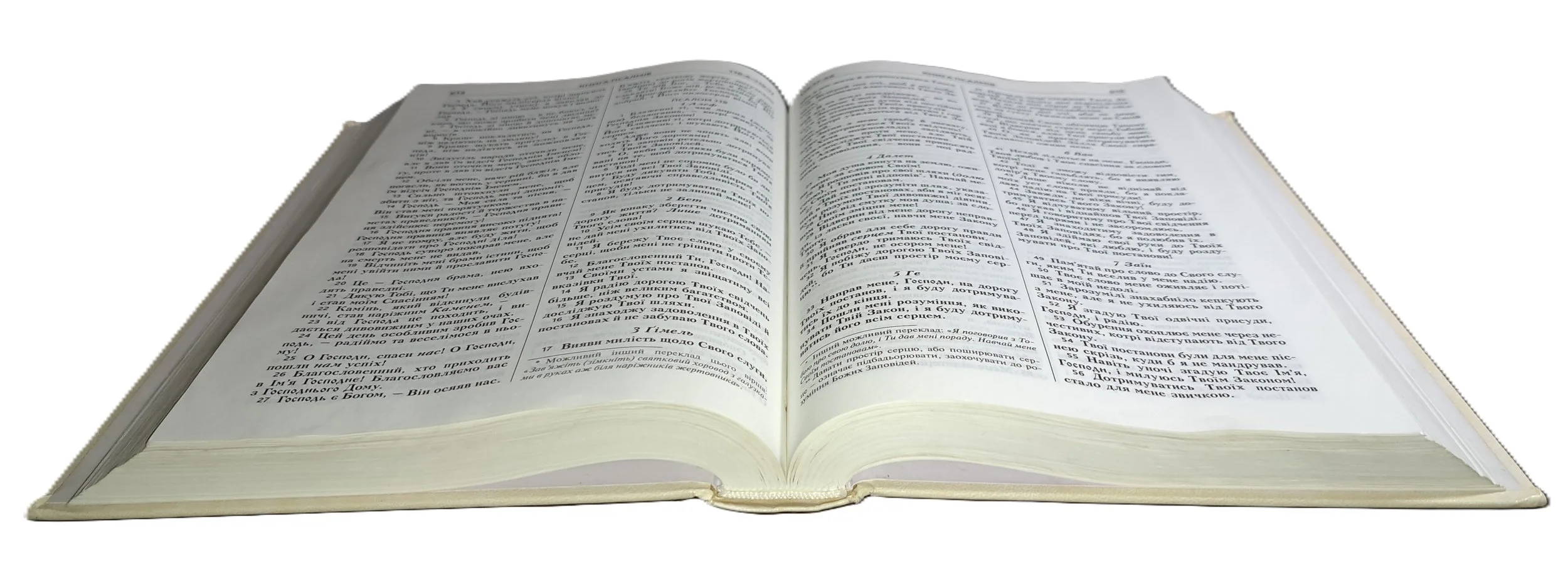 Bible.2jpg1.jpg