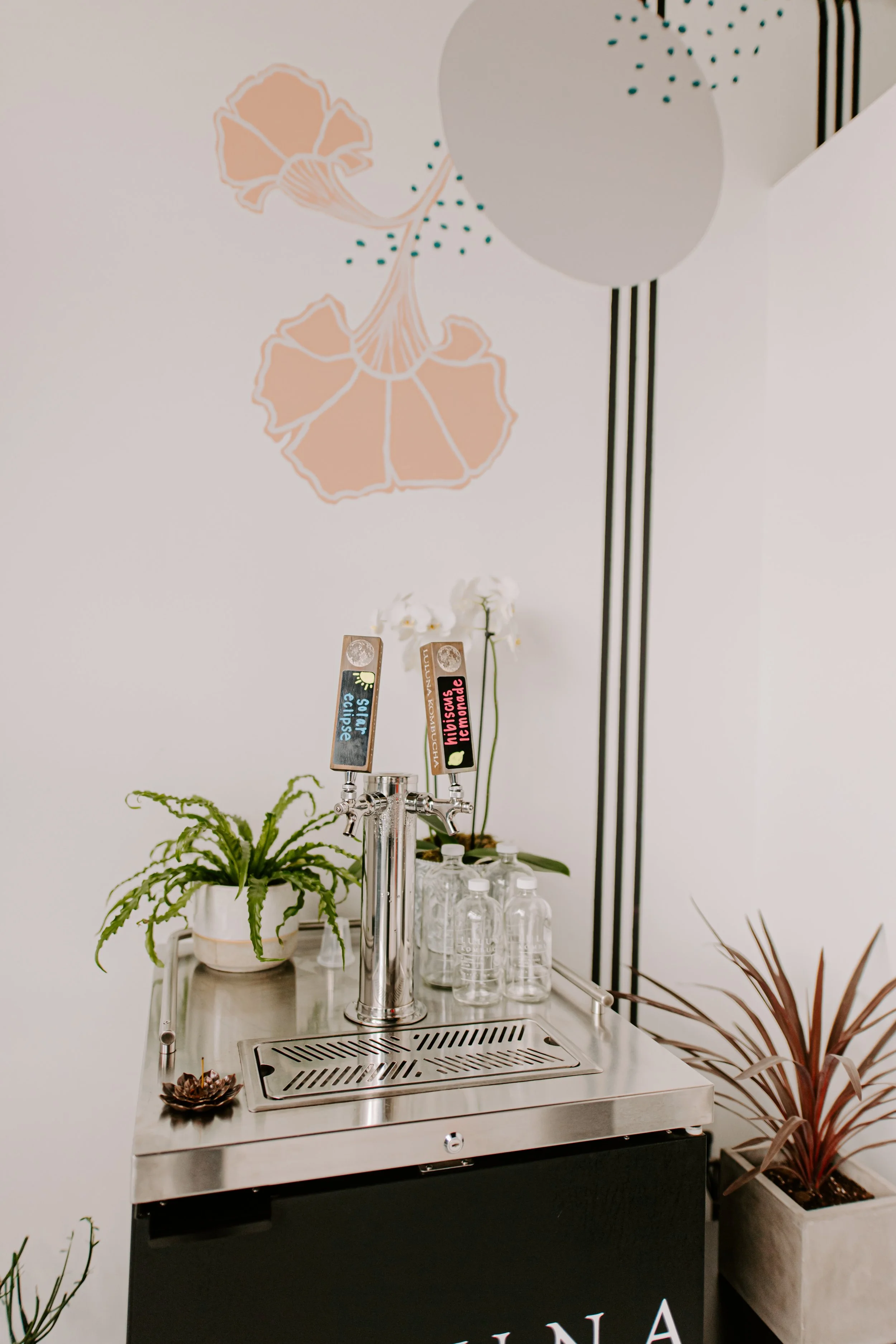 The Barre + Yoga Experience - Plainville, MA