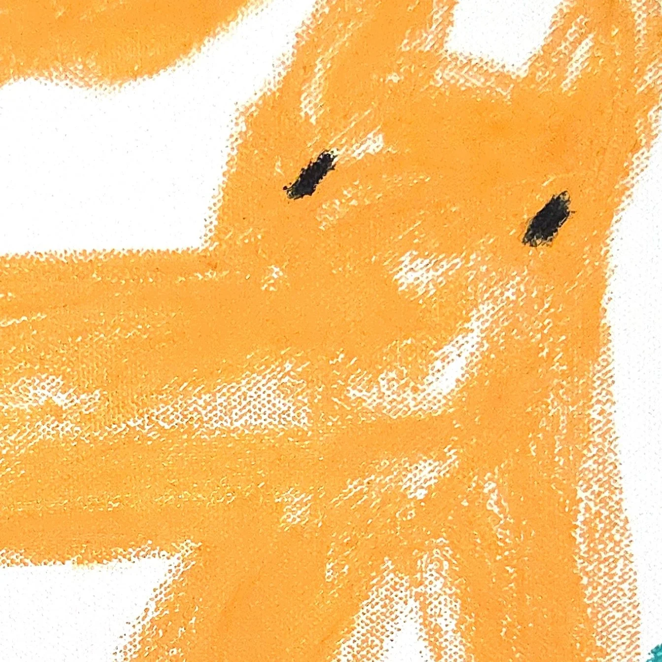 Fast Cats  Orange Detail.jpg