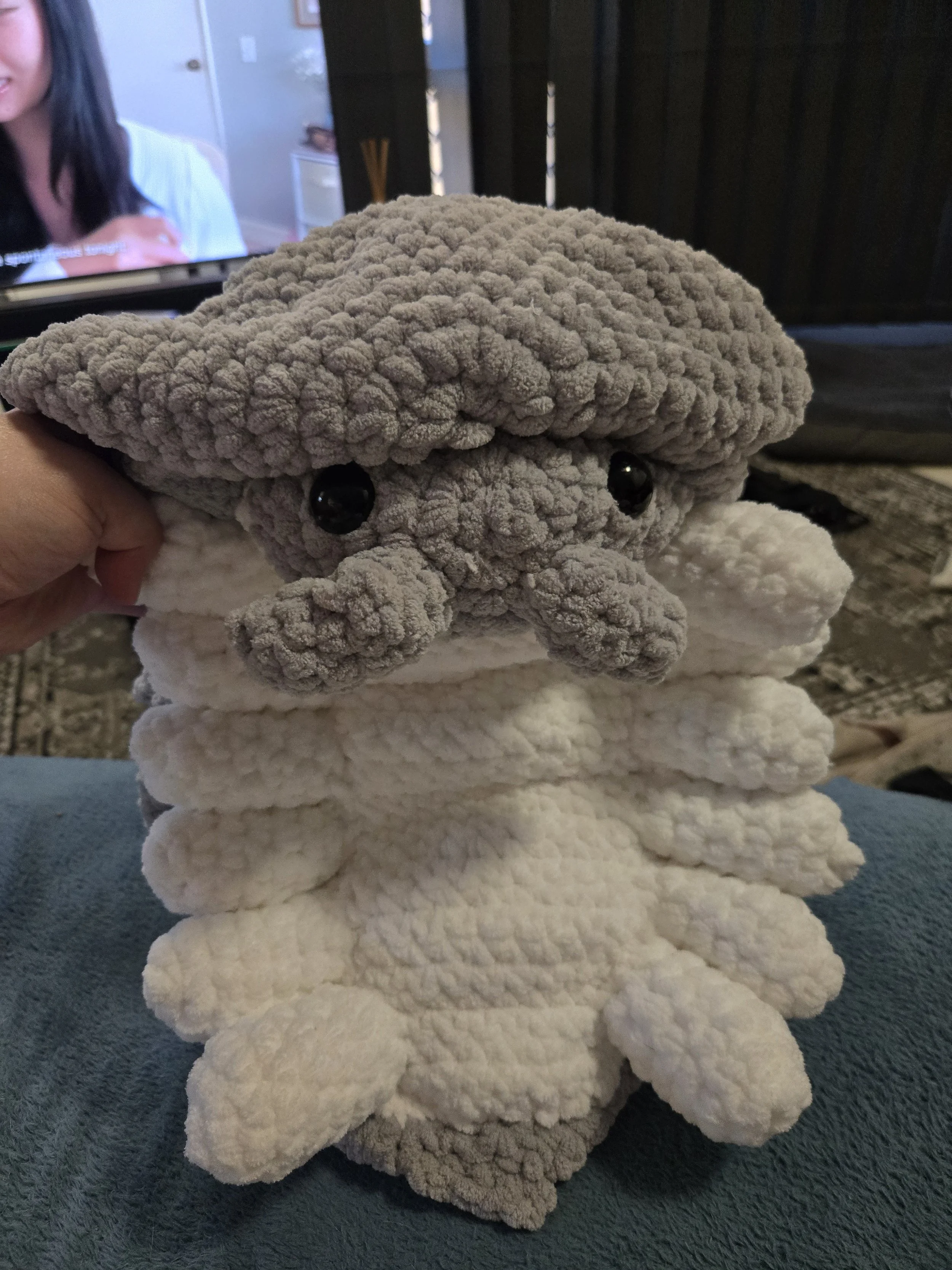 isopod