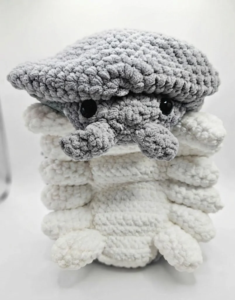 Isopod