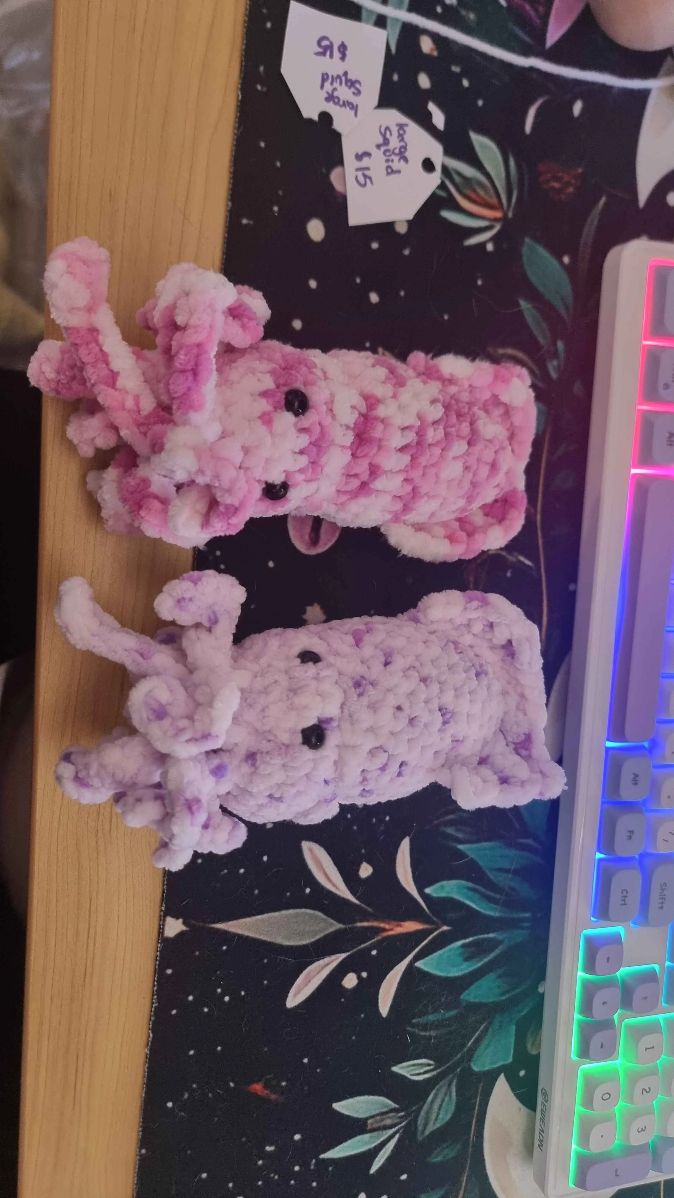 Squid