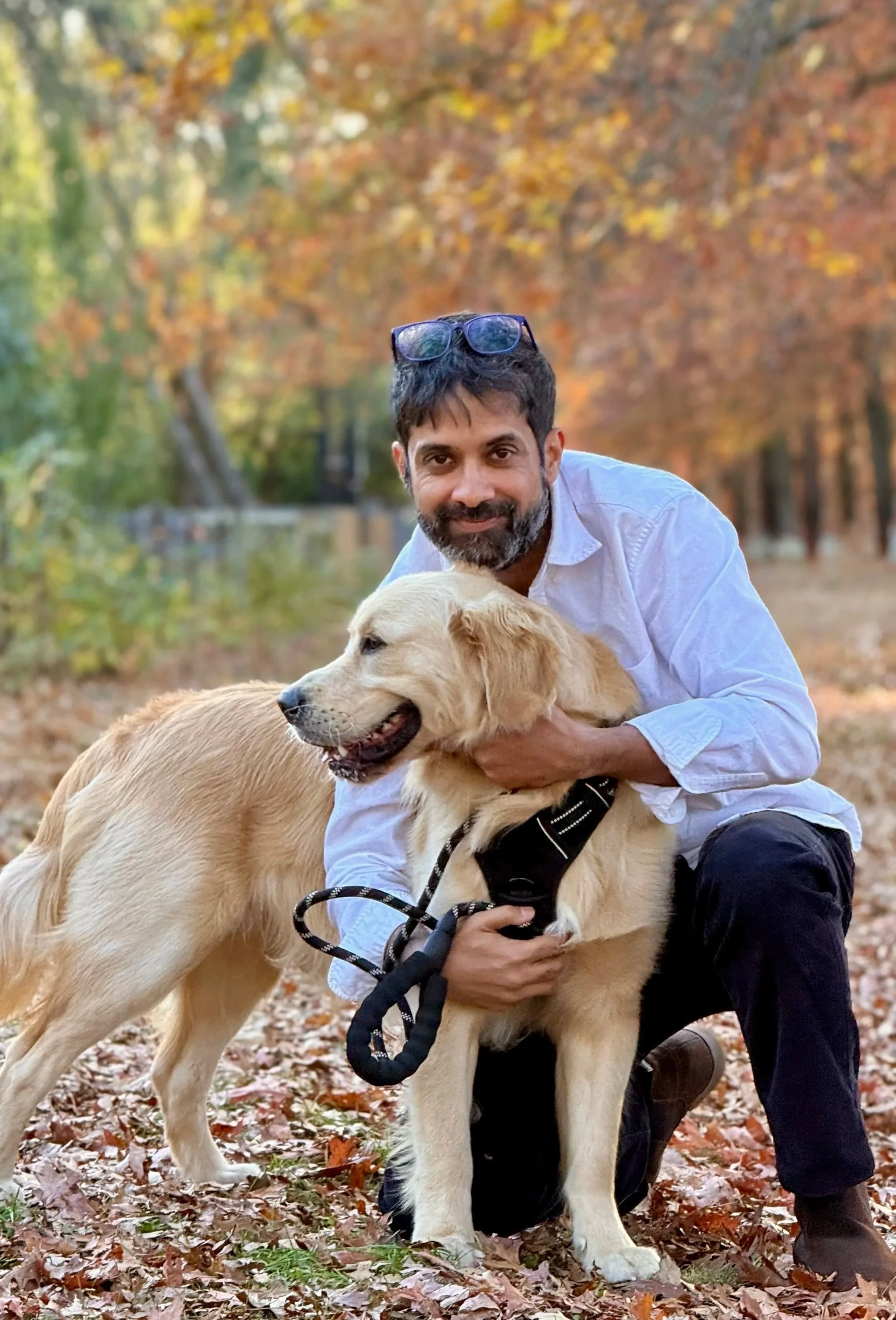 A man with dark hair and a beard, wearing glasses on his head and a white shirt, is kneeling outdoors with a golden retriever dog in an autumn park with fallen leaves and trees with orange and yellow leaves in the background.