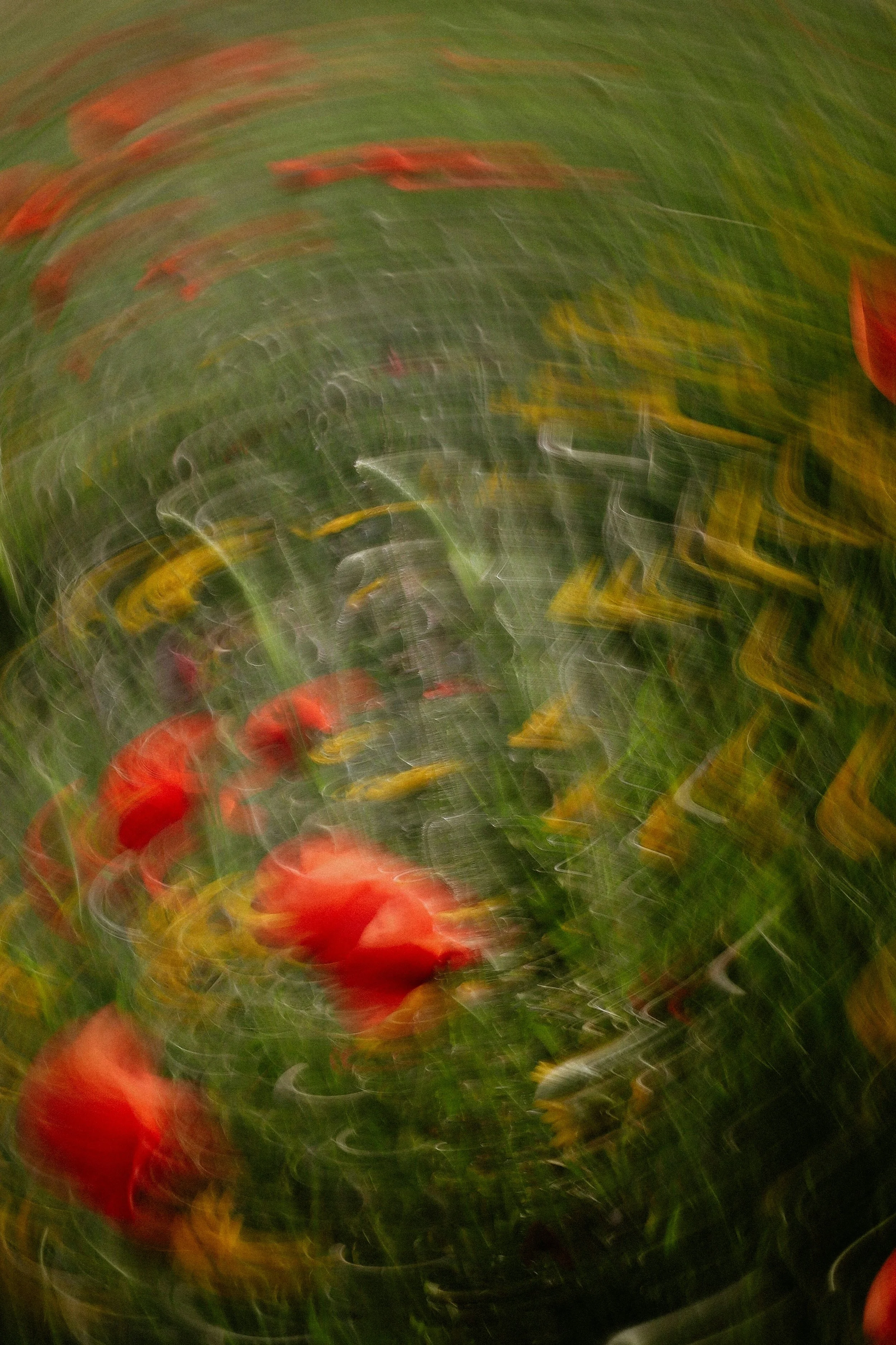 Blurred motion of a garden with red, yellow, and green plants or flowers.