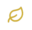 A simple illustration of a leaf