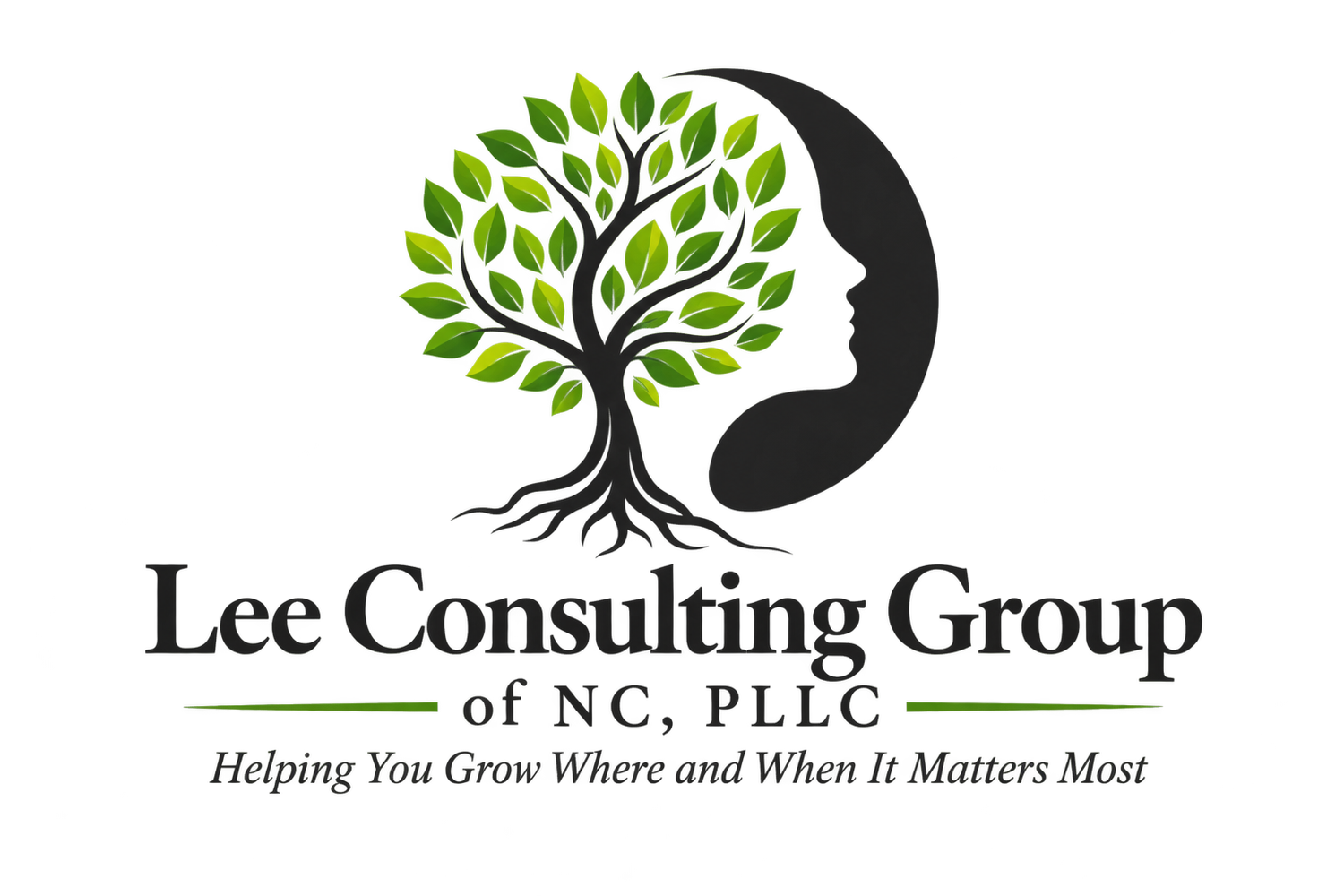 Lee Consulting Group of NC, PLLC