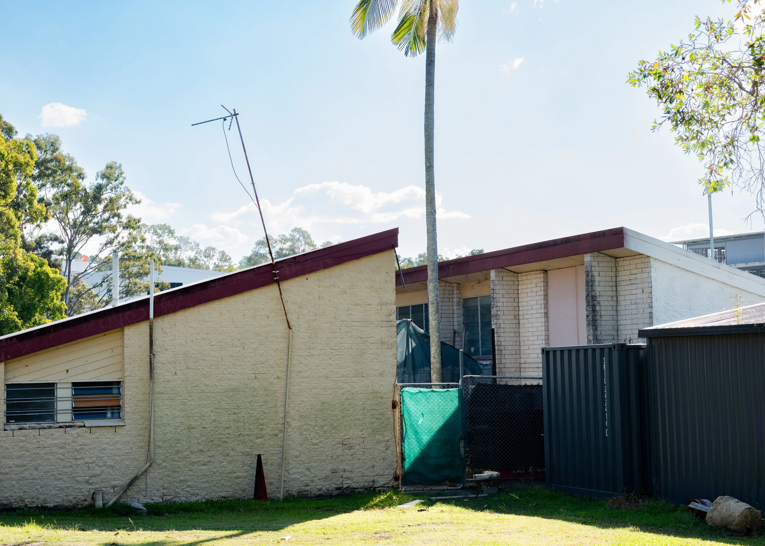 A backyard with a yellow brick house, a fence, trees, and a tall palm tree, under a mostly clear blue sky.